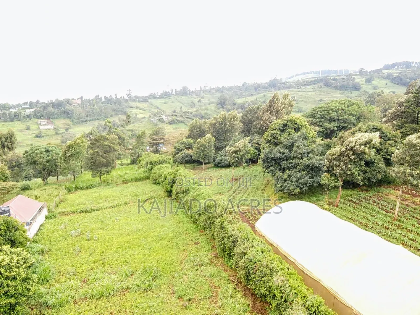 Prime 1 Acre Lemiso Road at 21m (Priced to Go,Last Price)
