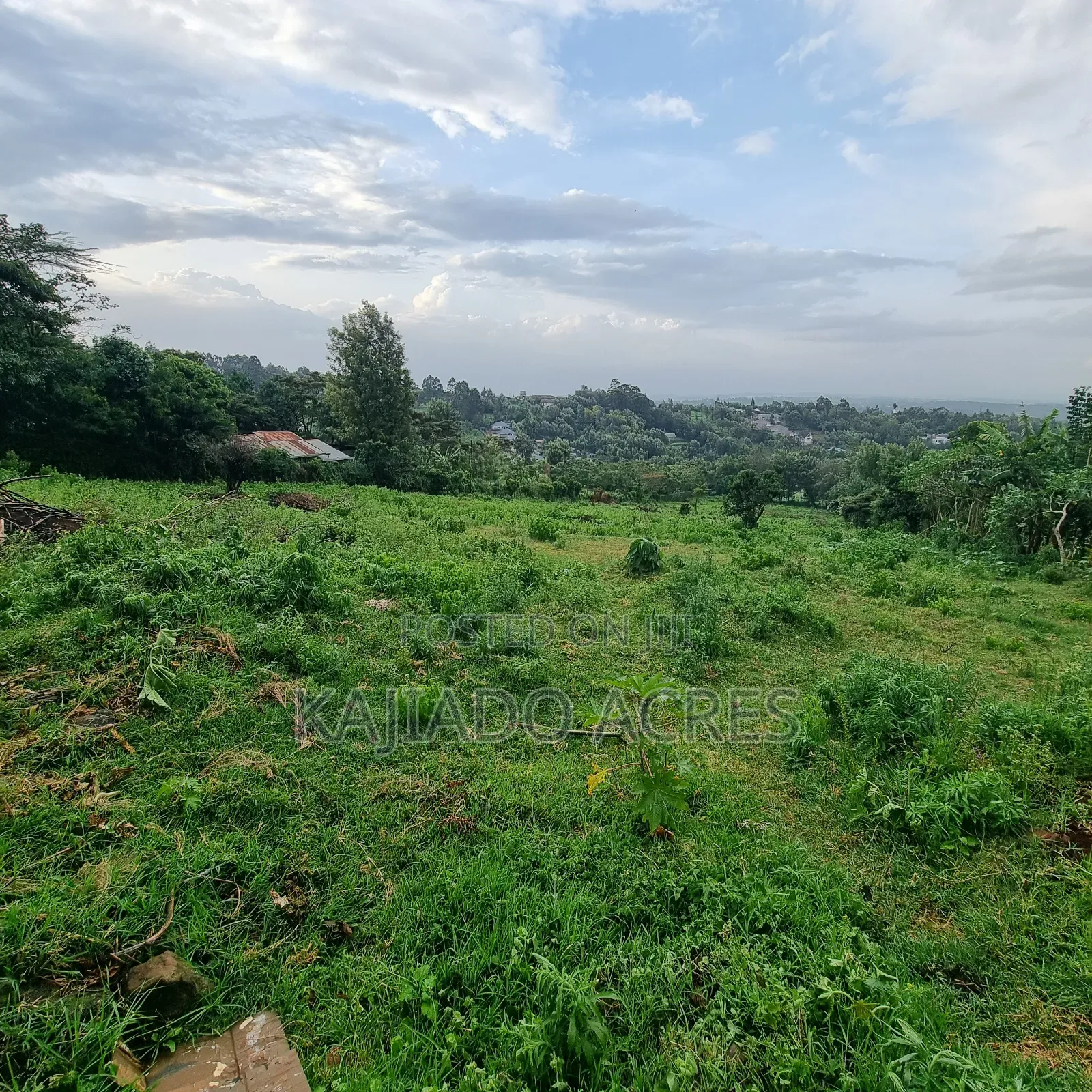 2 Acre Lemiso Road at 20m Per Acre