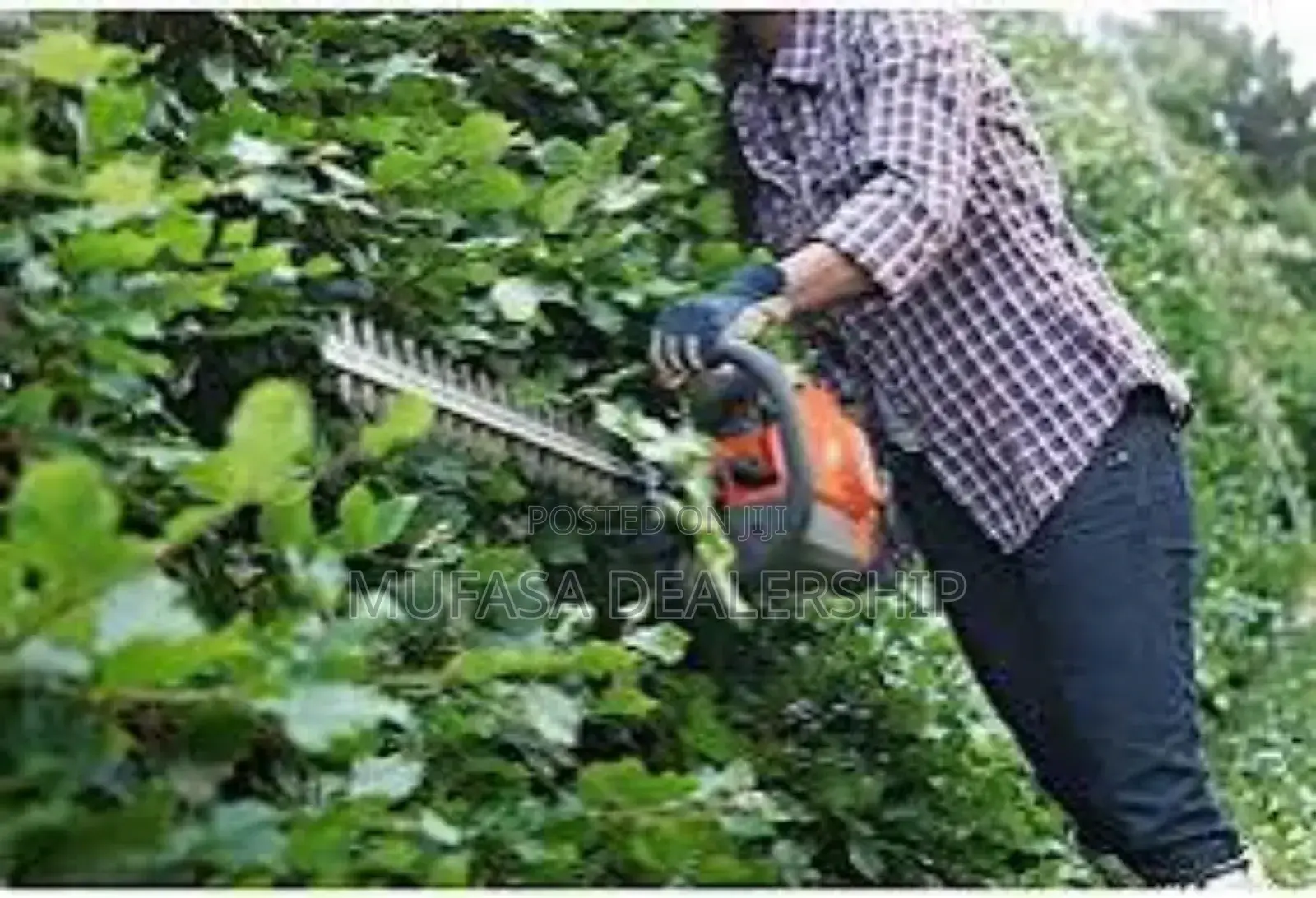 Gasoline Hedge Trimmer