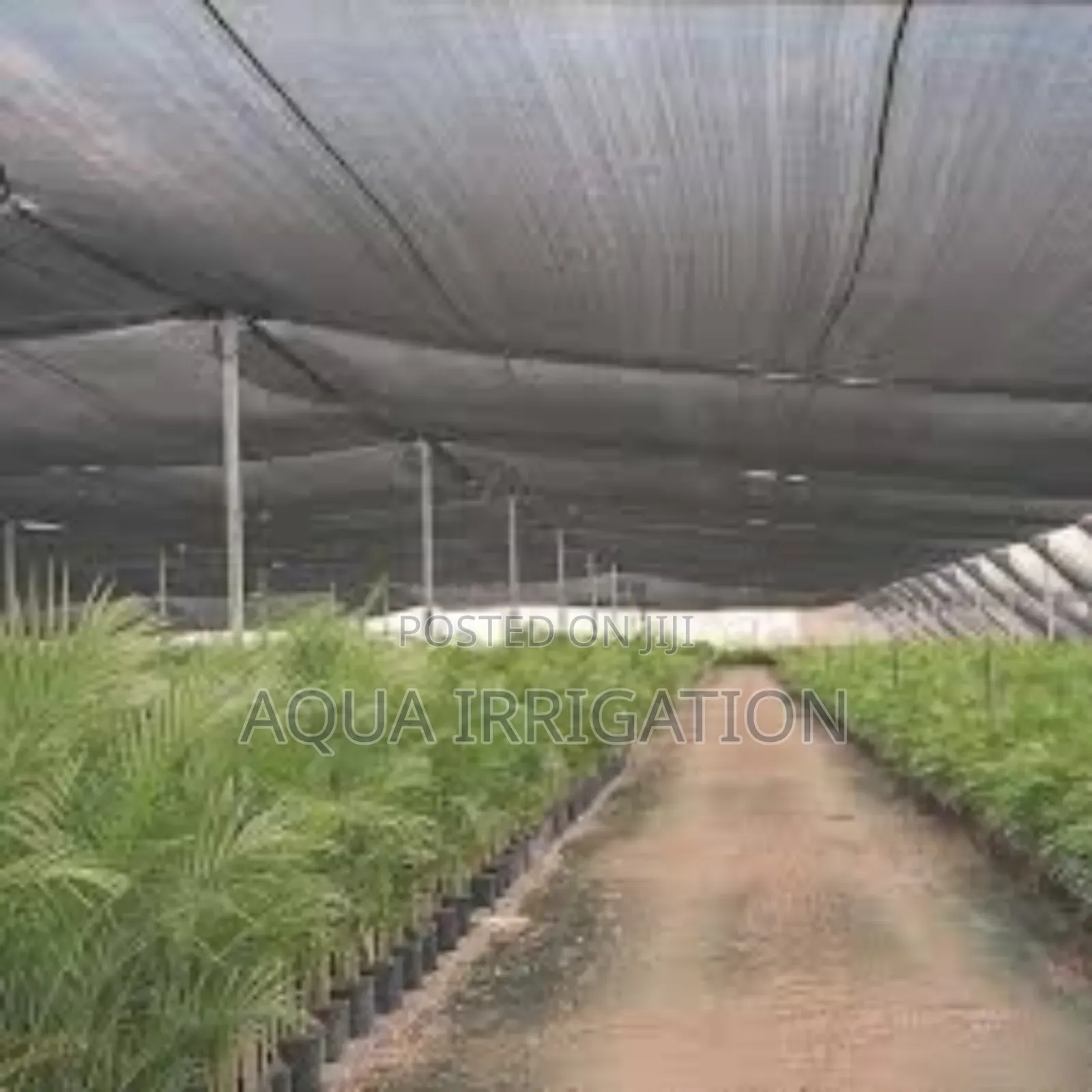 Color Reflective Nets - Enhances Crop Pigmentation