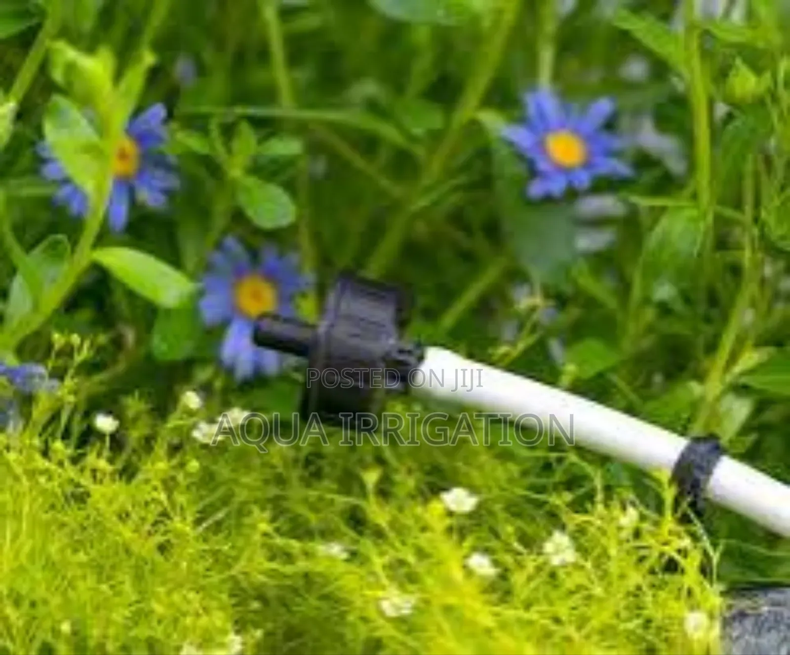 Precision Drippers That Save Water"