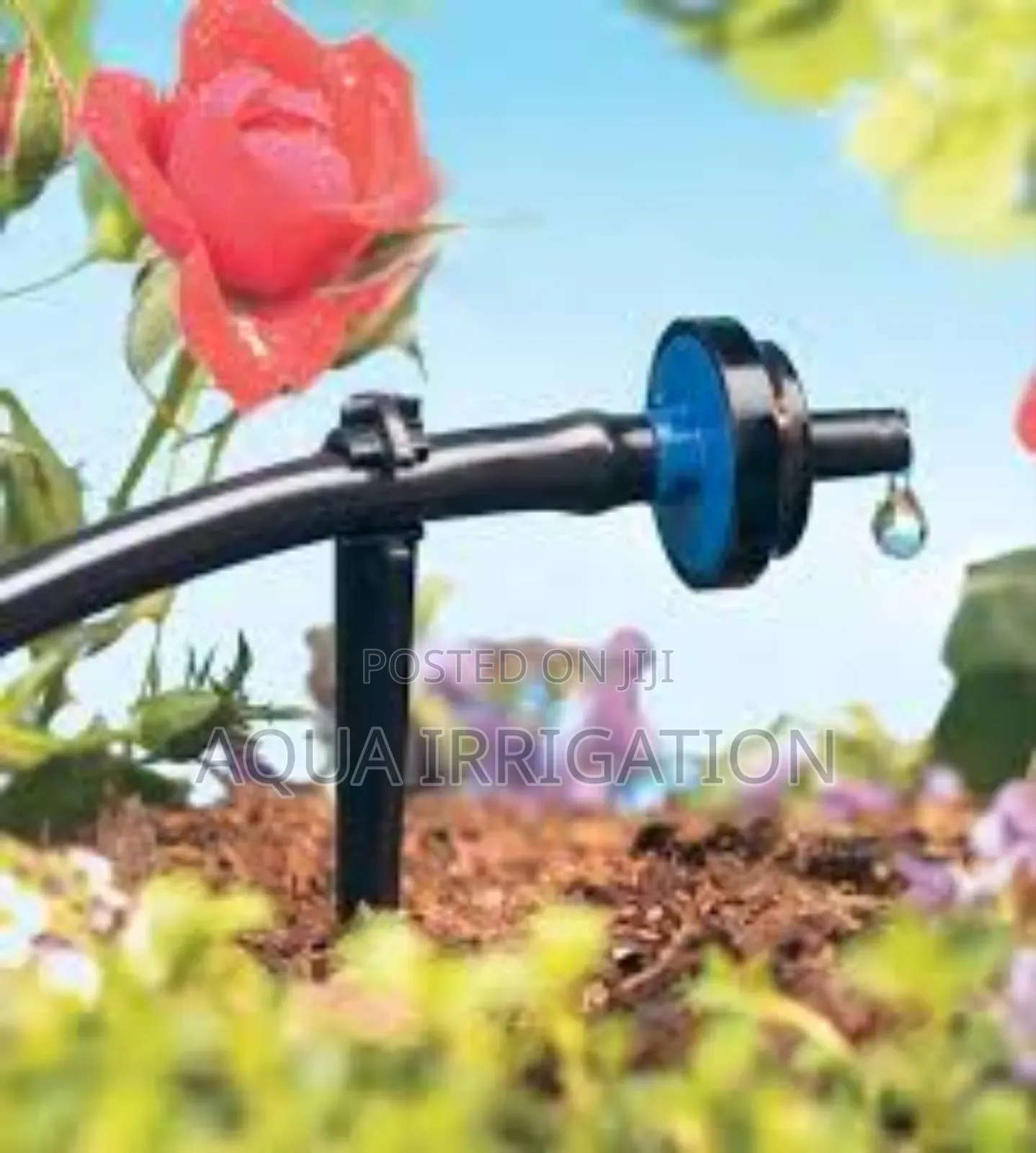 Farmers’ Top Choice for Drippers