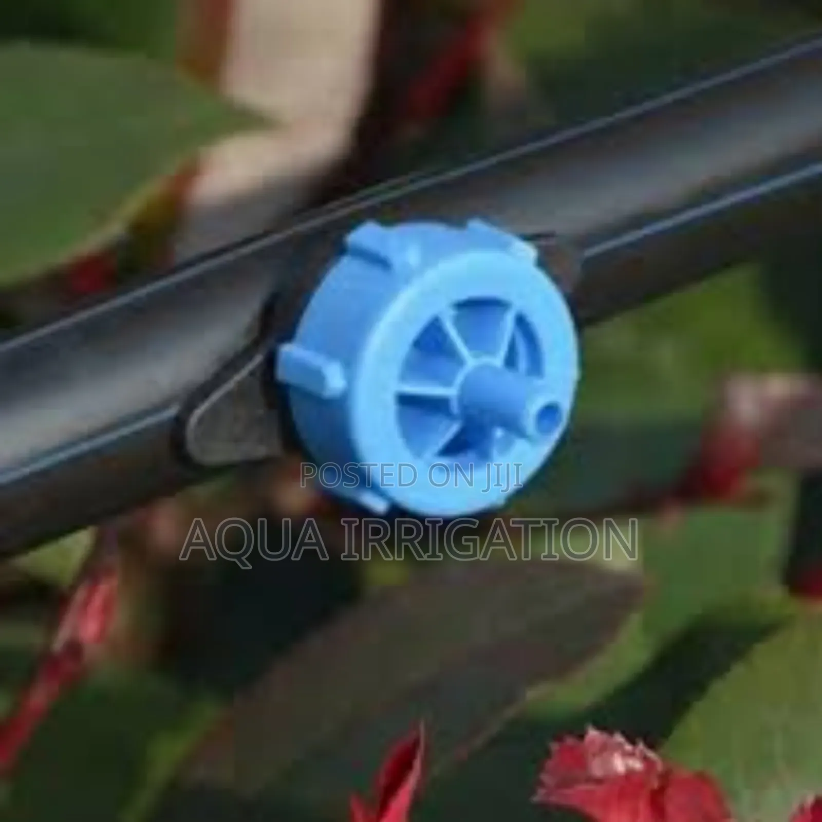 Perfect Drippers for Greenhouse Watering
