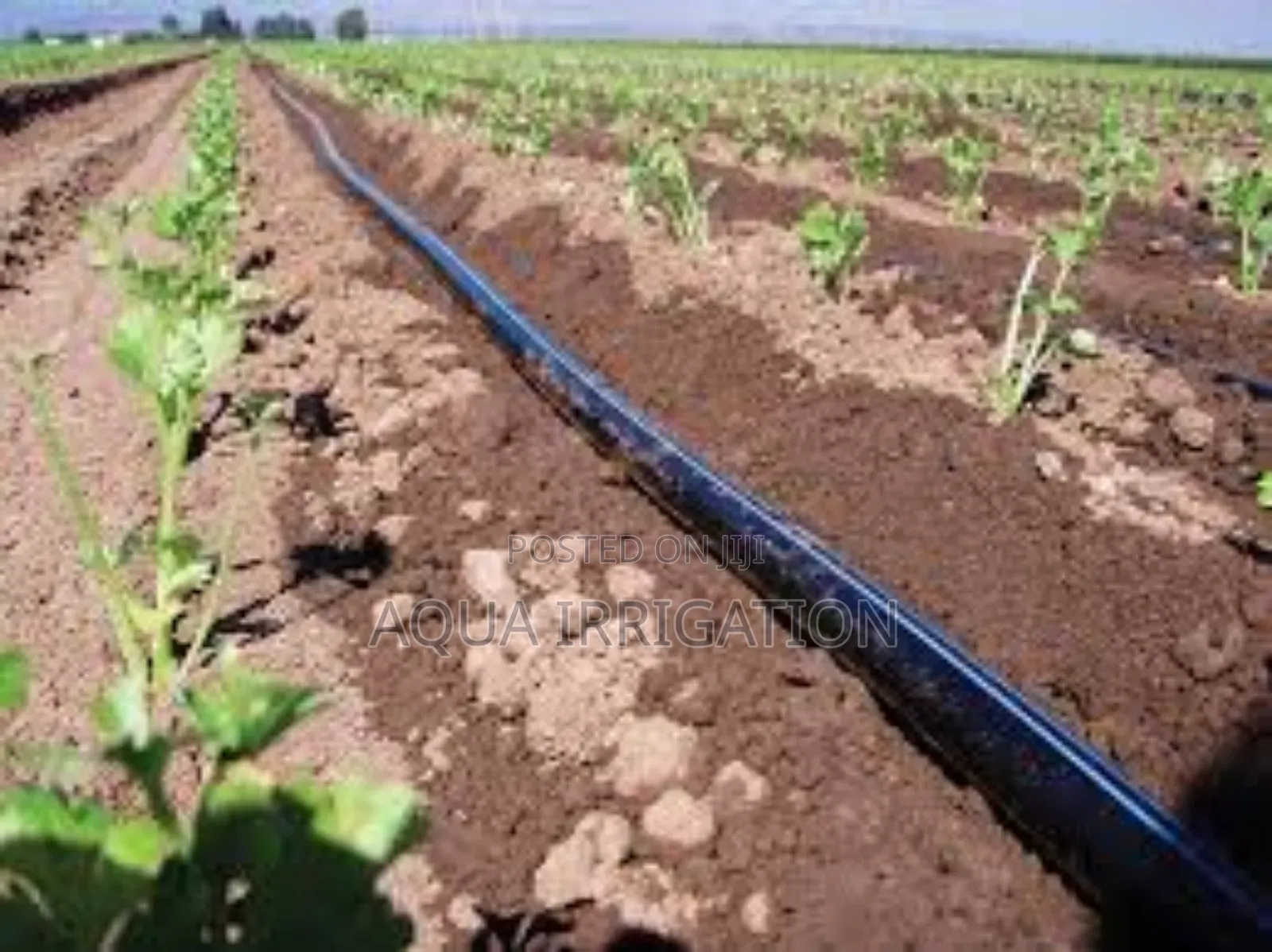Uv-Resistant Driplines for Long-Term Use