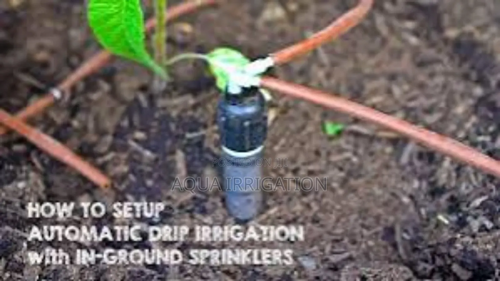 Water Conservation Made Easy With Driplines"