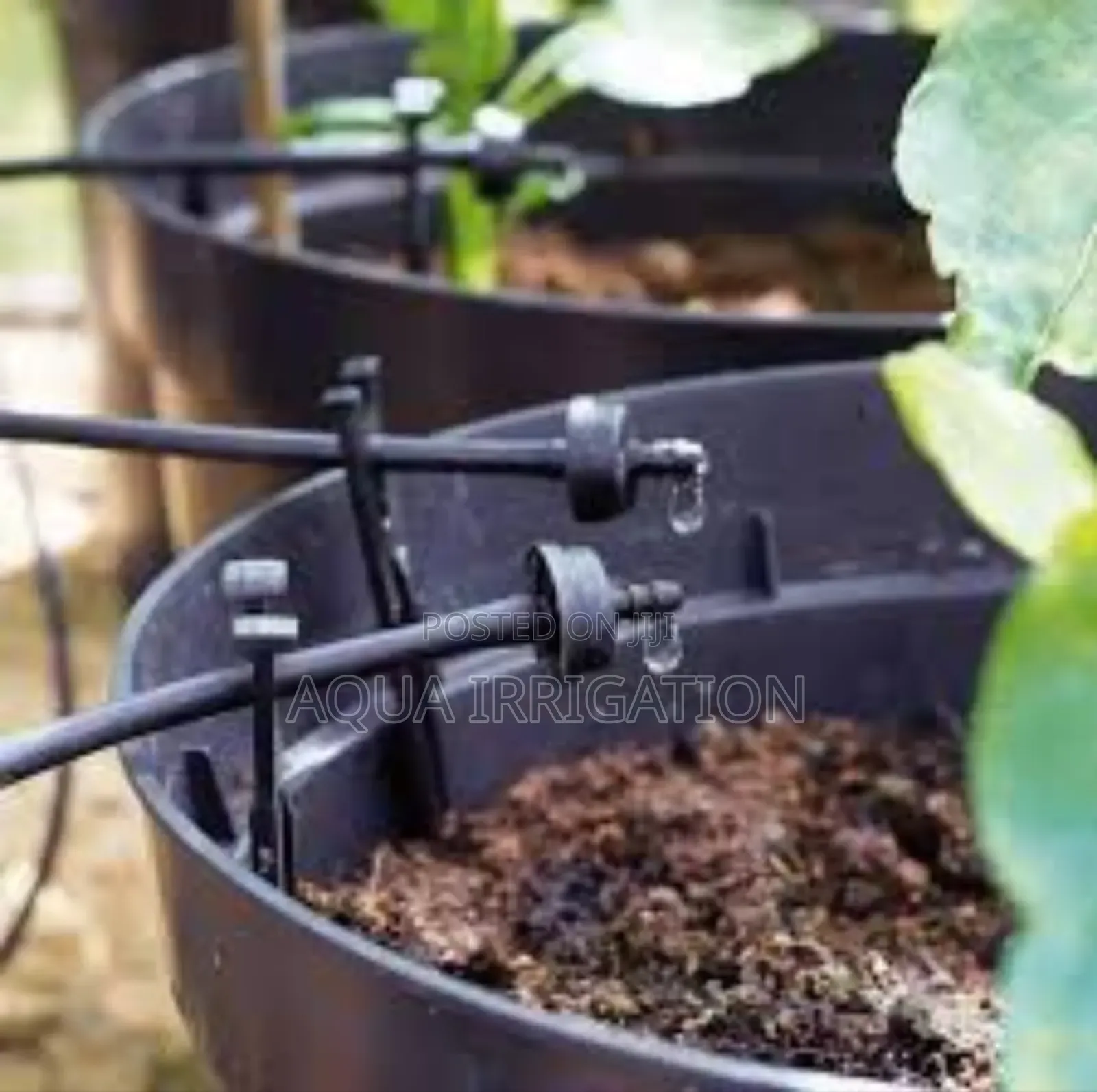 Shop Reliable Driplines at Great Prices!
