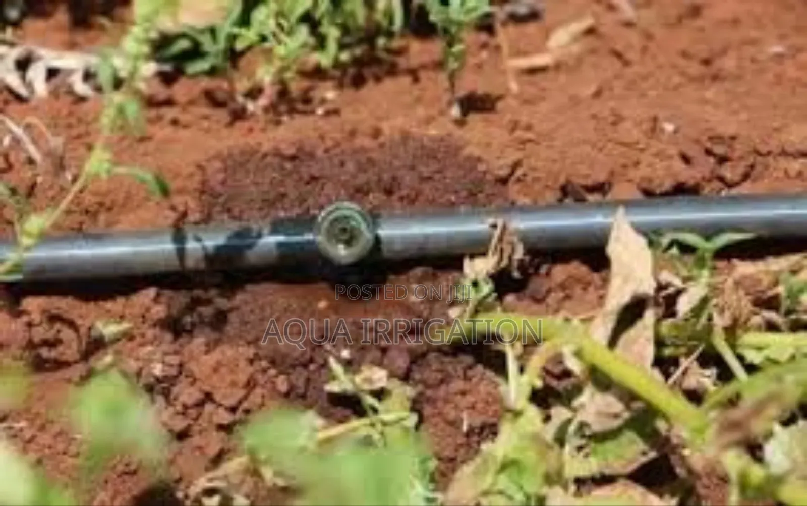 Smart Driplines for Smarter Irrigation