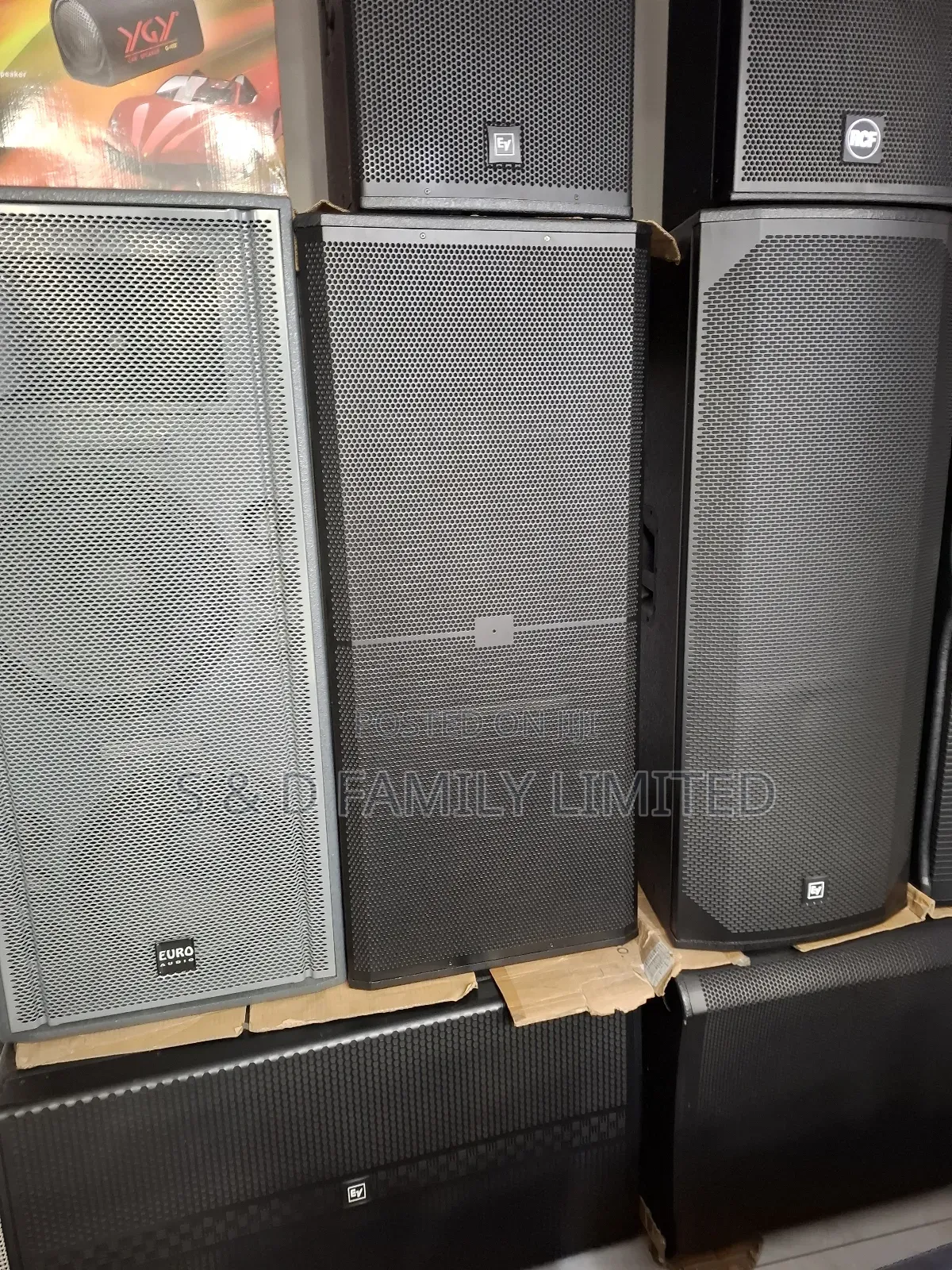 Euro Audio Fullrange Speaker