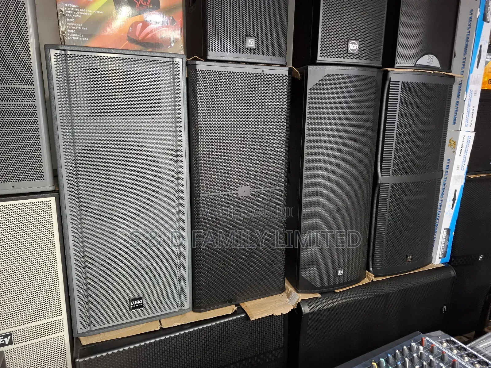 Euro Audio Fullrange Speaker
