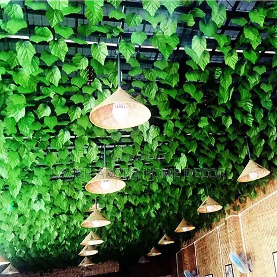 Artificial Vines Money Plant for Wall and Ceiling Decor
