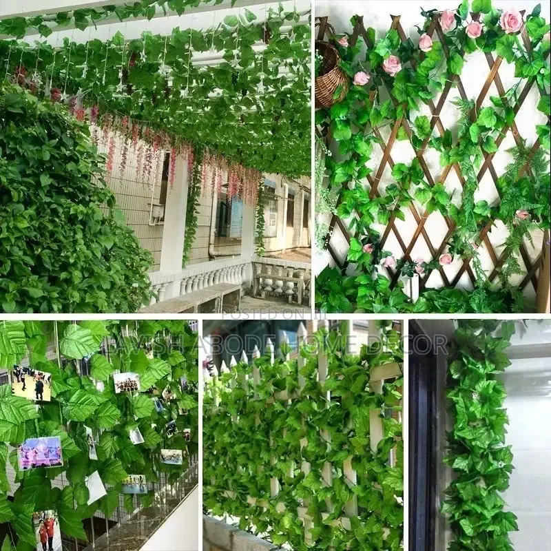 Artificial Vines Money Plant for Wall and Ceiling Decor