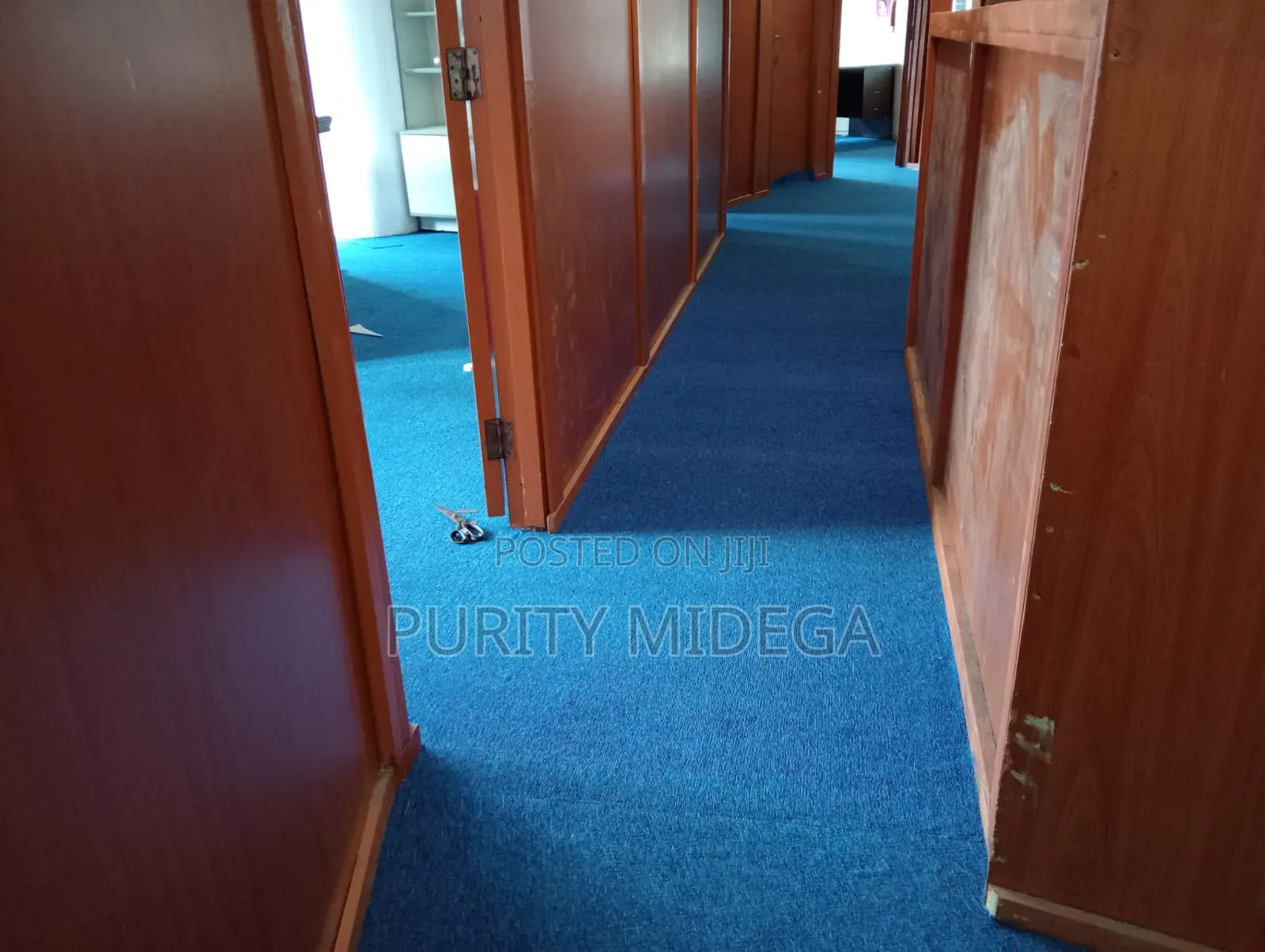 Elegant Delta Blue Wall to Wall Carpets