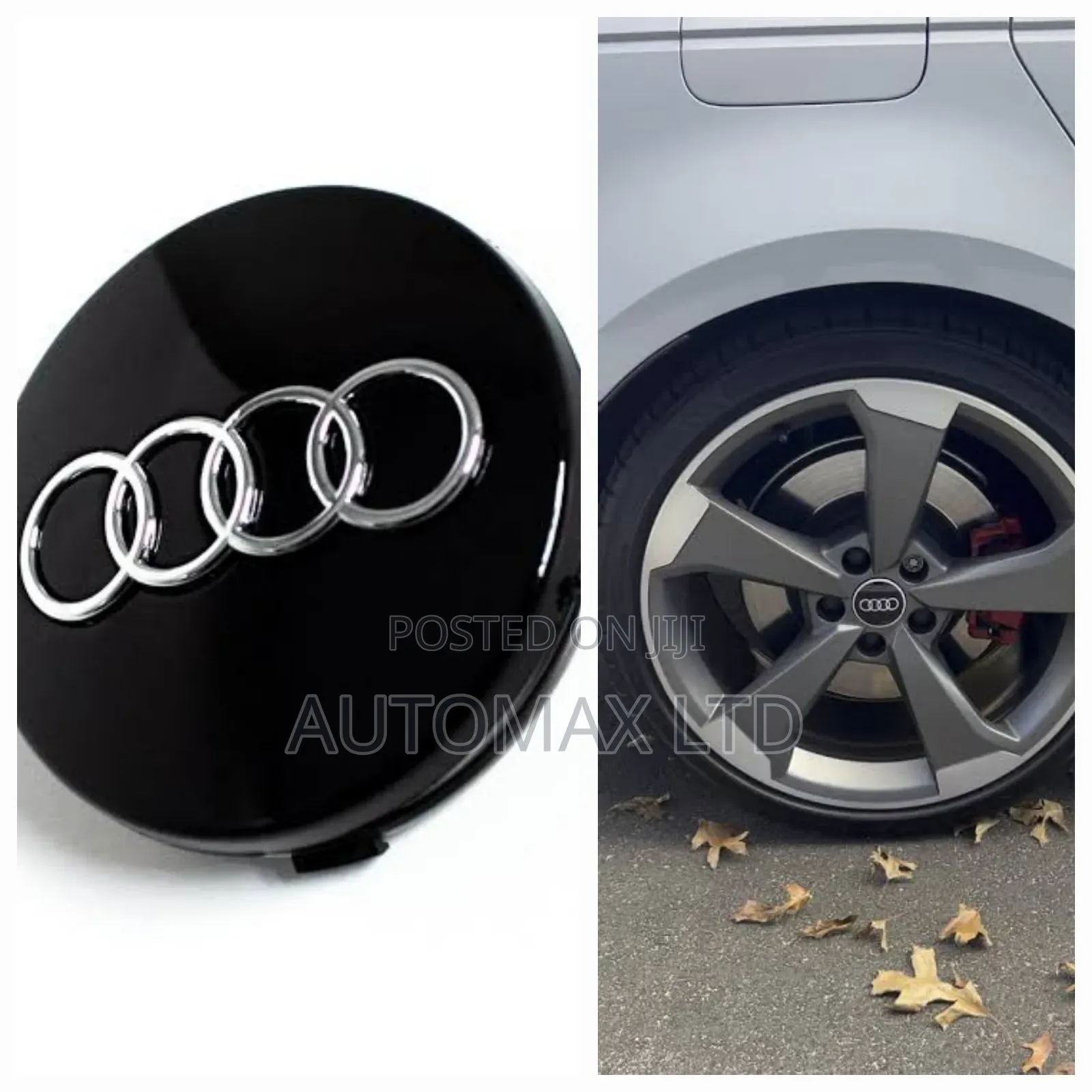 Audi Wheel Hub Caps