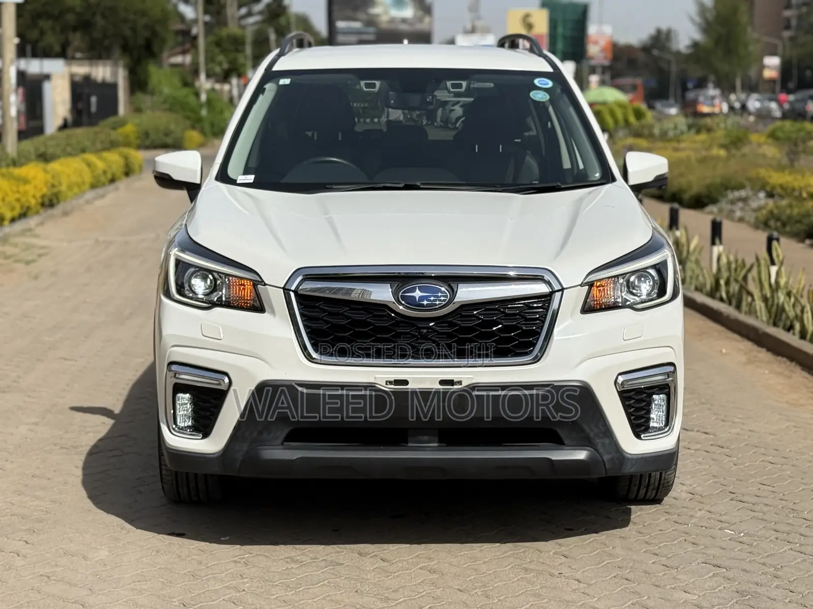 Subaru Forester 2019 Pearl