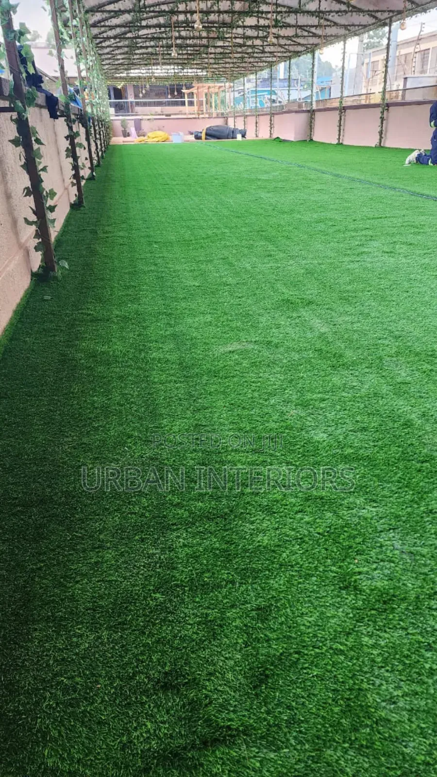 Grass Carpet Grass Carpet Grass Carpet Grass Carpet
