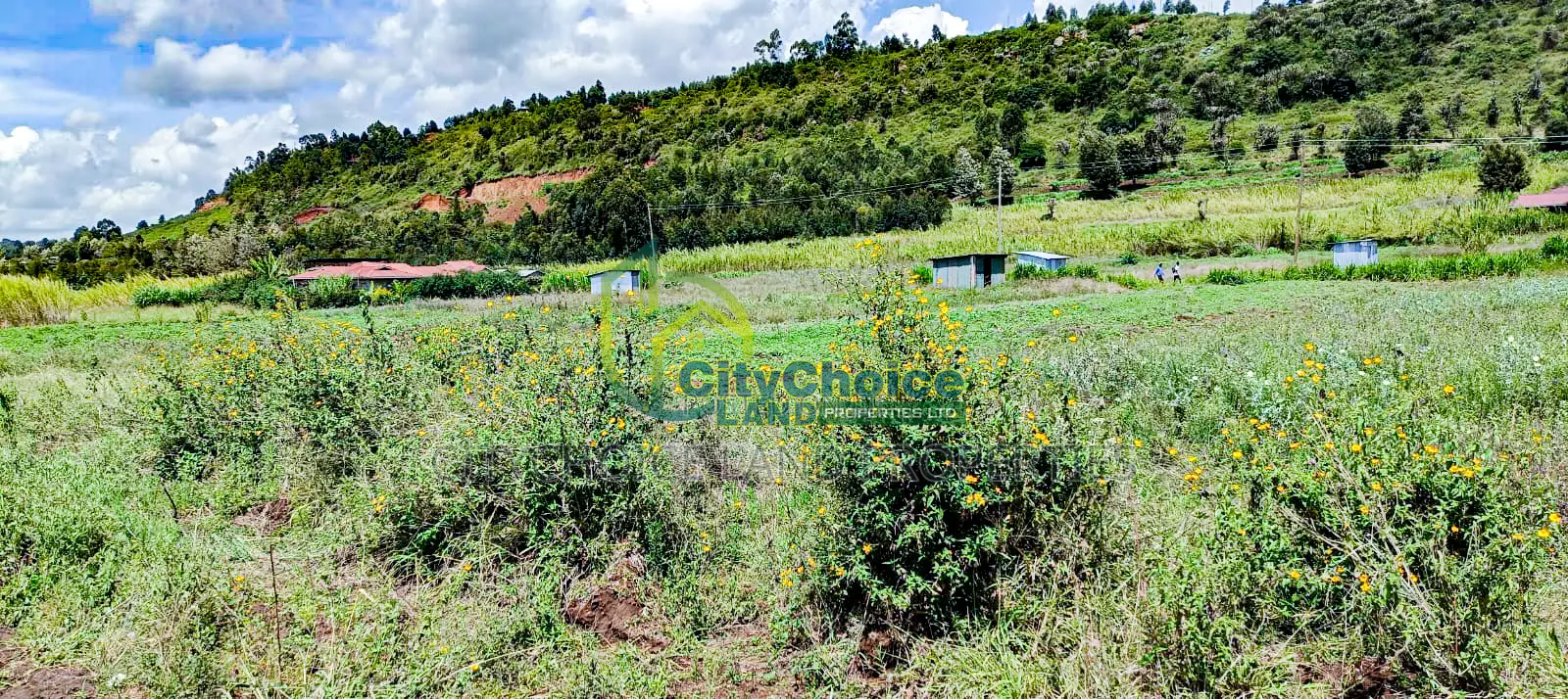 Own Land in Karai – Lusigetti This January!