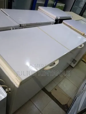 Two Doors Big Deep Freezer