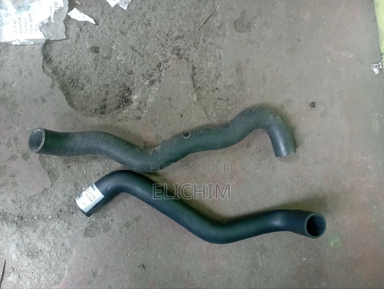 Shark 5L Horse Pipe