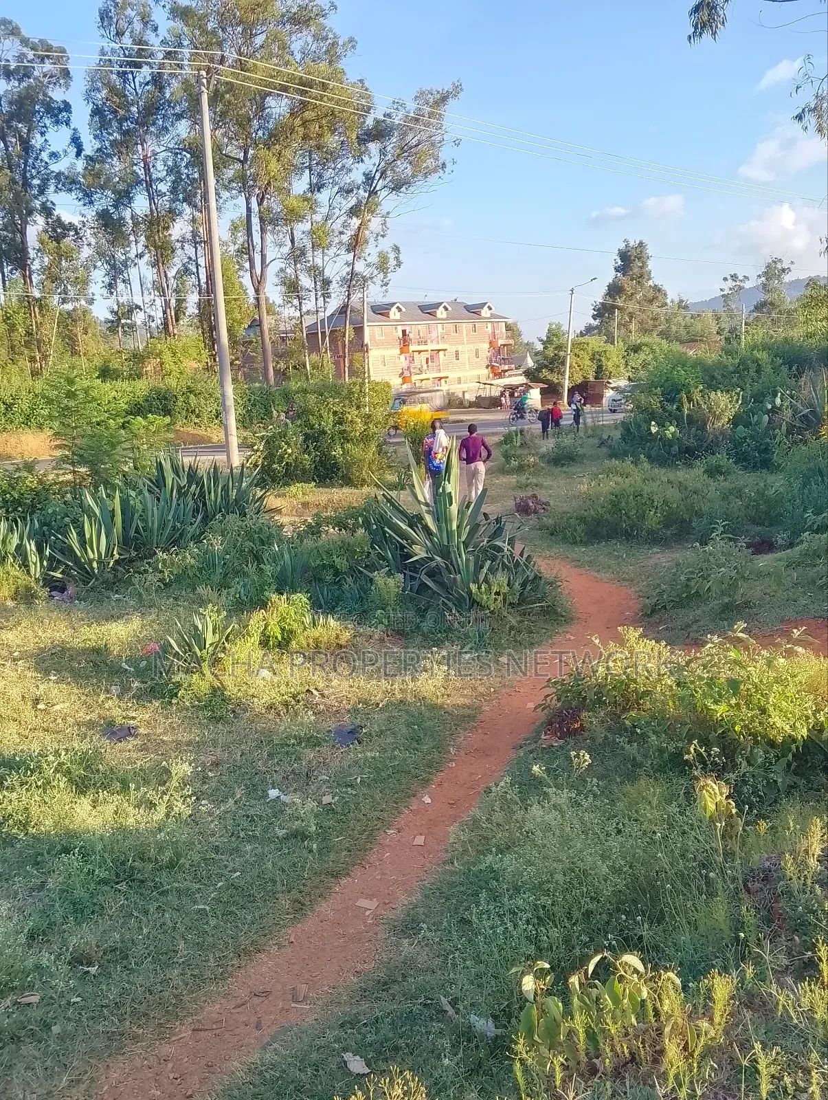 Machakos -Mumbuni Multiple Plots 50by 100,100x100ft , Etc