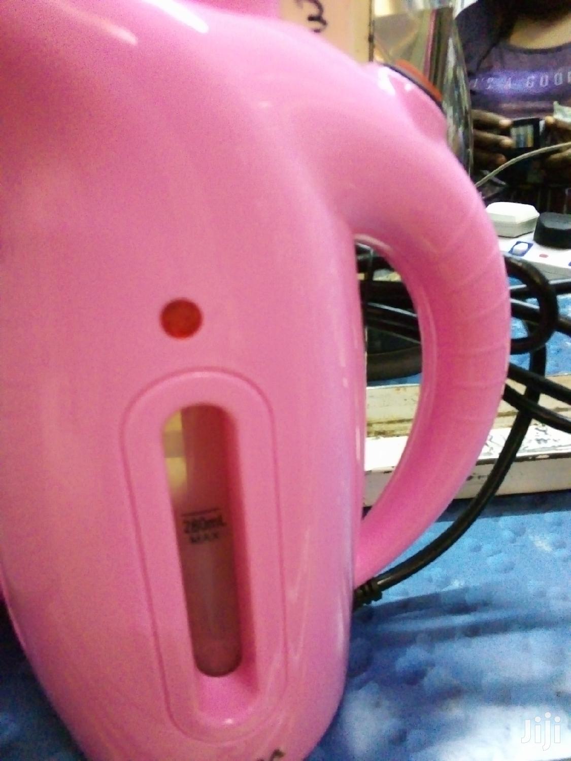 Garment Steamer