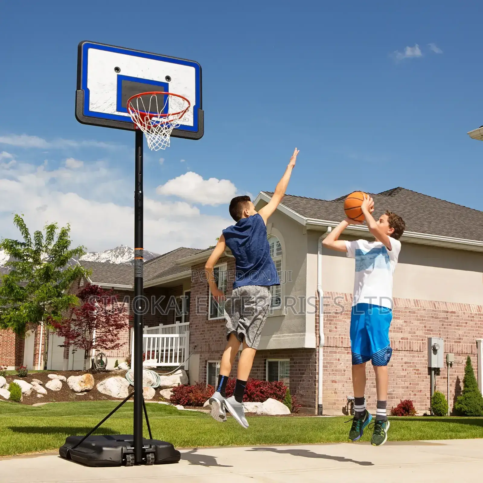 44 Inch Impact Portable Adjustable Basketball Hoop