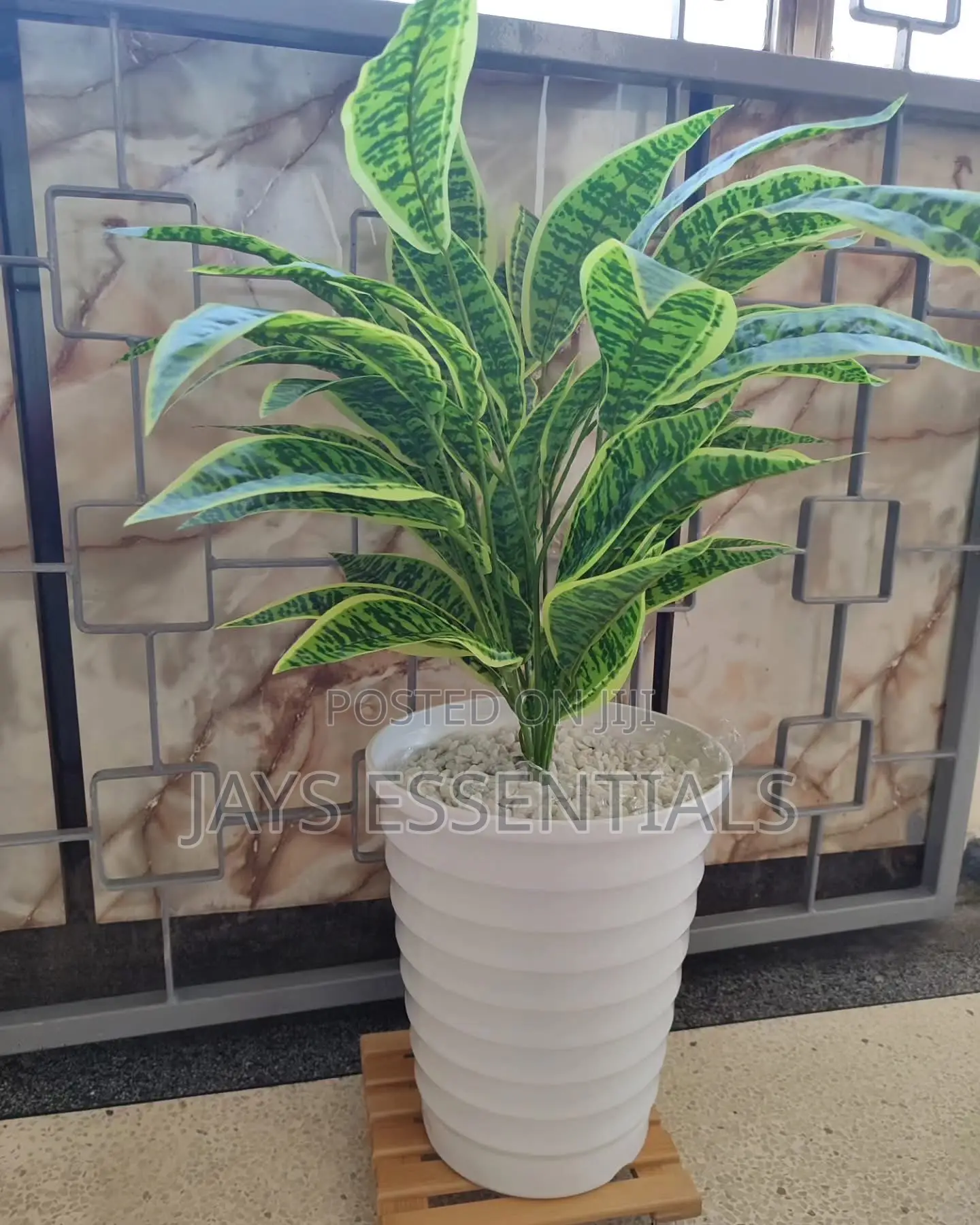 Artificial Snake Plant With Vase