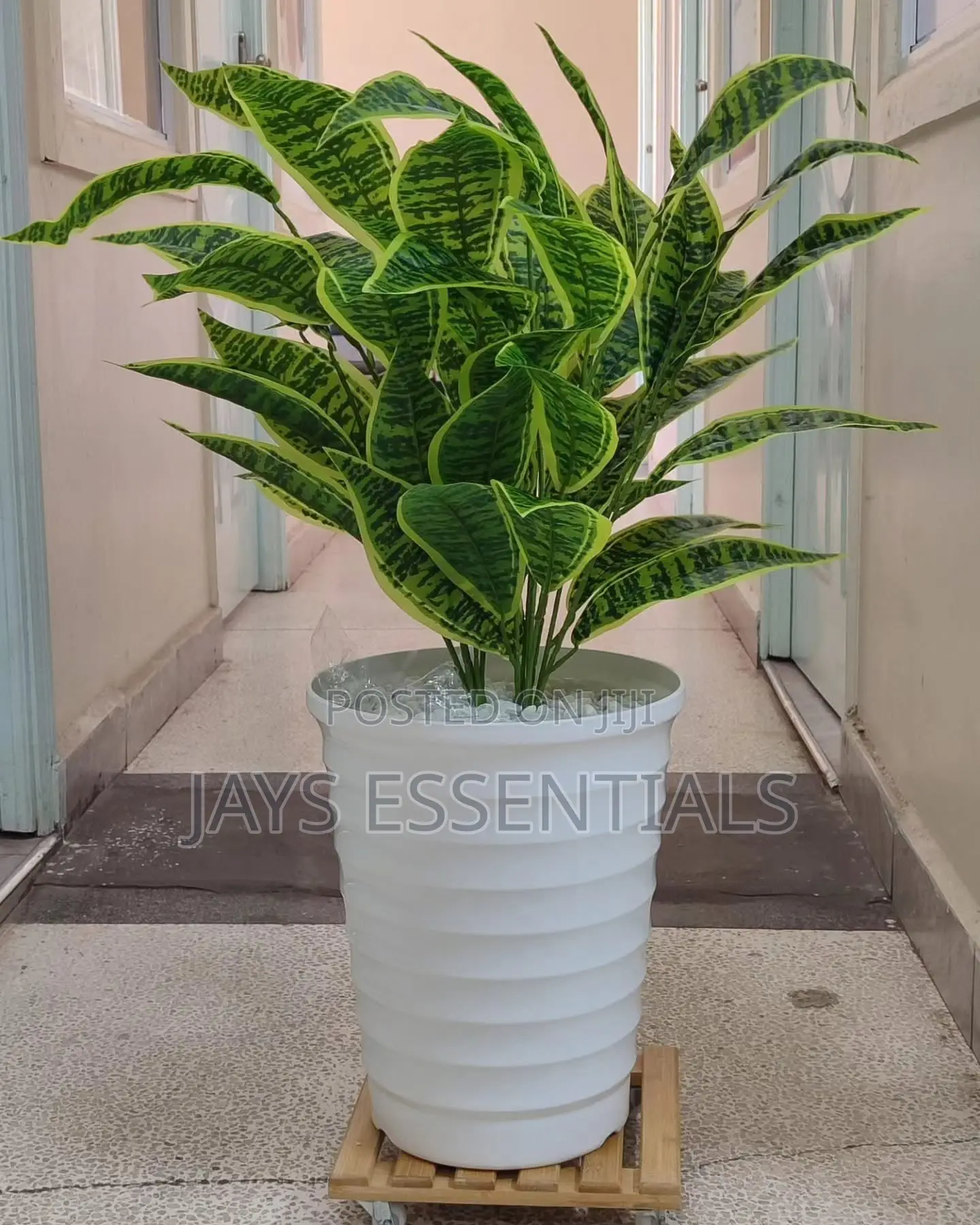 Artificial Snake Plant With Vase