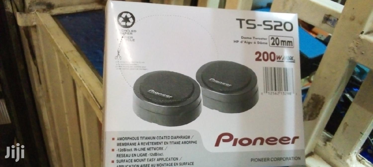 Pioneer TS-S20