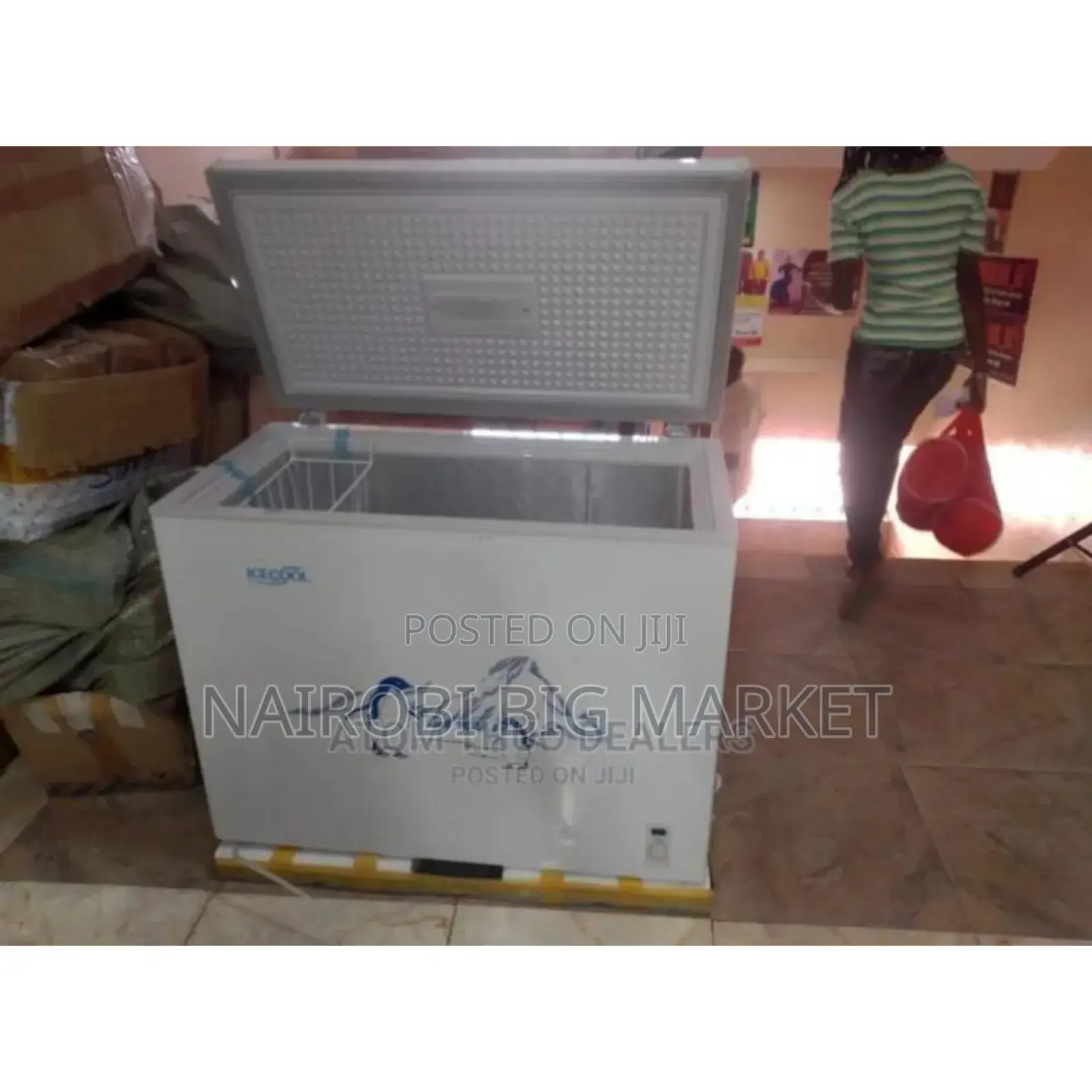 Demacated 169litres Icecool Freezer