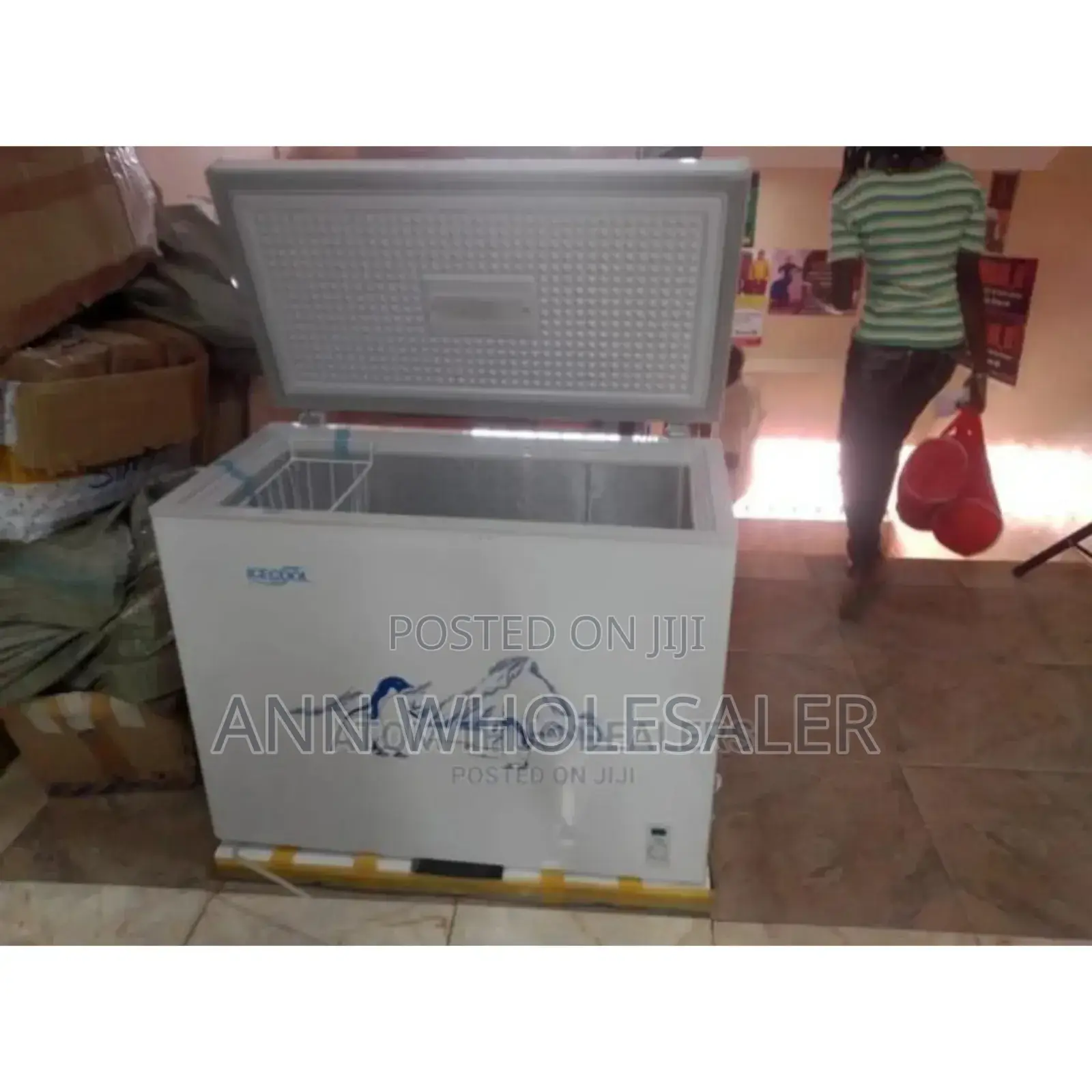 Demacated 169litres Icecool Freezer