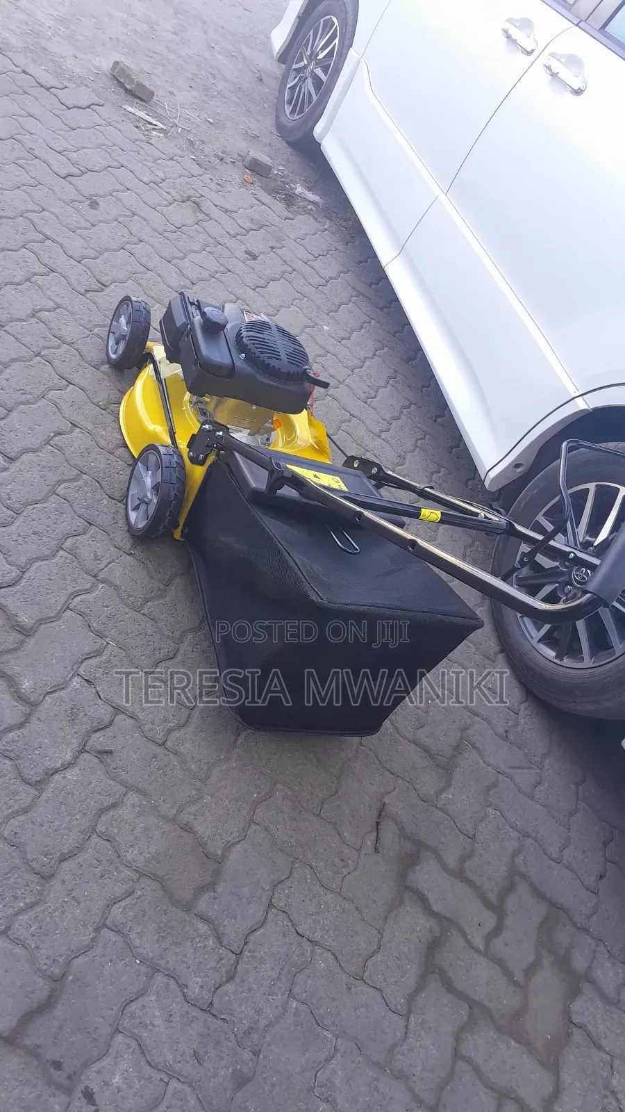 Gasoline  Lawnmower (WASP) 4.0HP