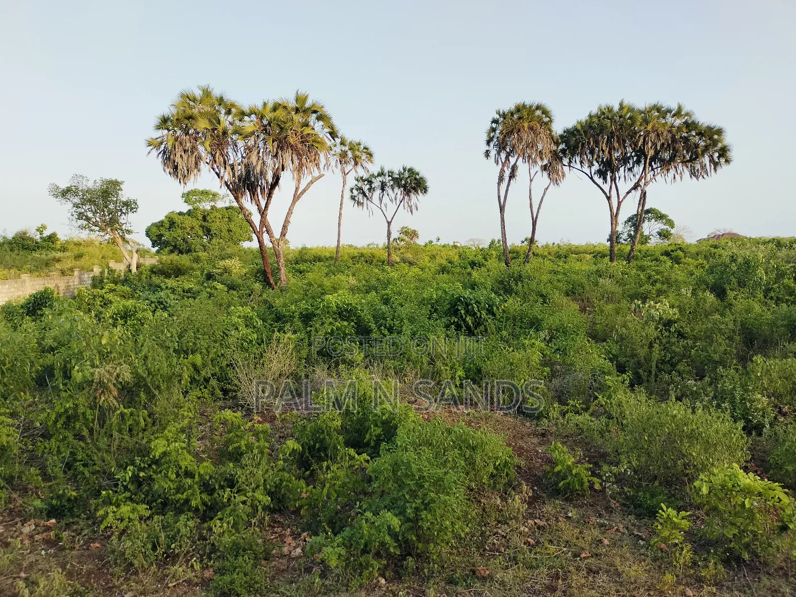 4.5 Acre Second Row Beach Property
