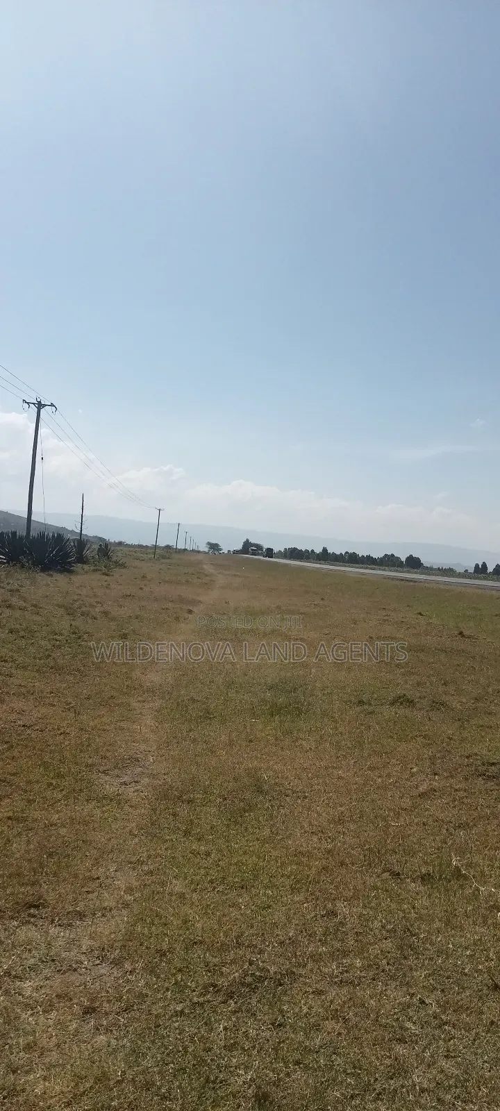 Land on Sale at Longonot Naivasha