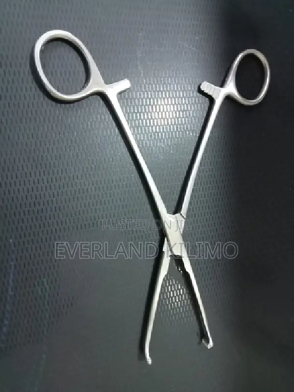 Forceps, for Animal Treatment
