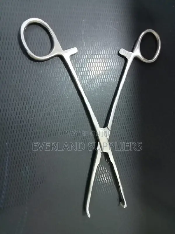 Forceps, for Animal Treatment