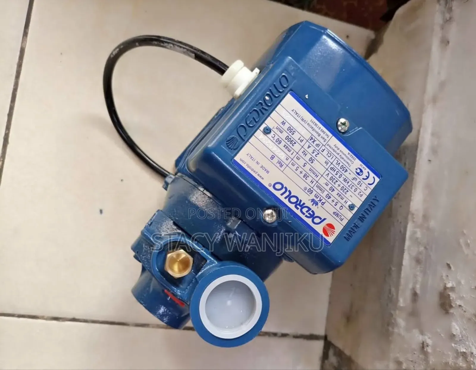 0.5hp Pedrollo Water Pump/ Electric Pedrollo Water Pump 0.5