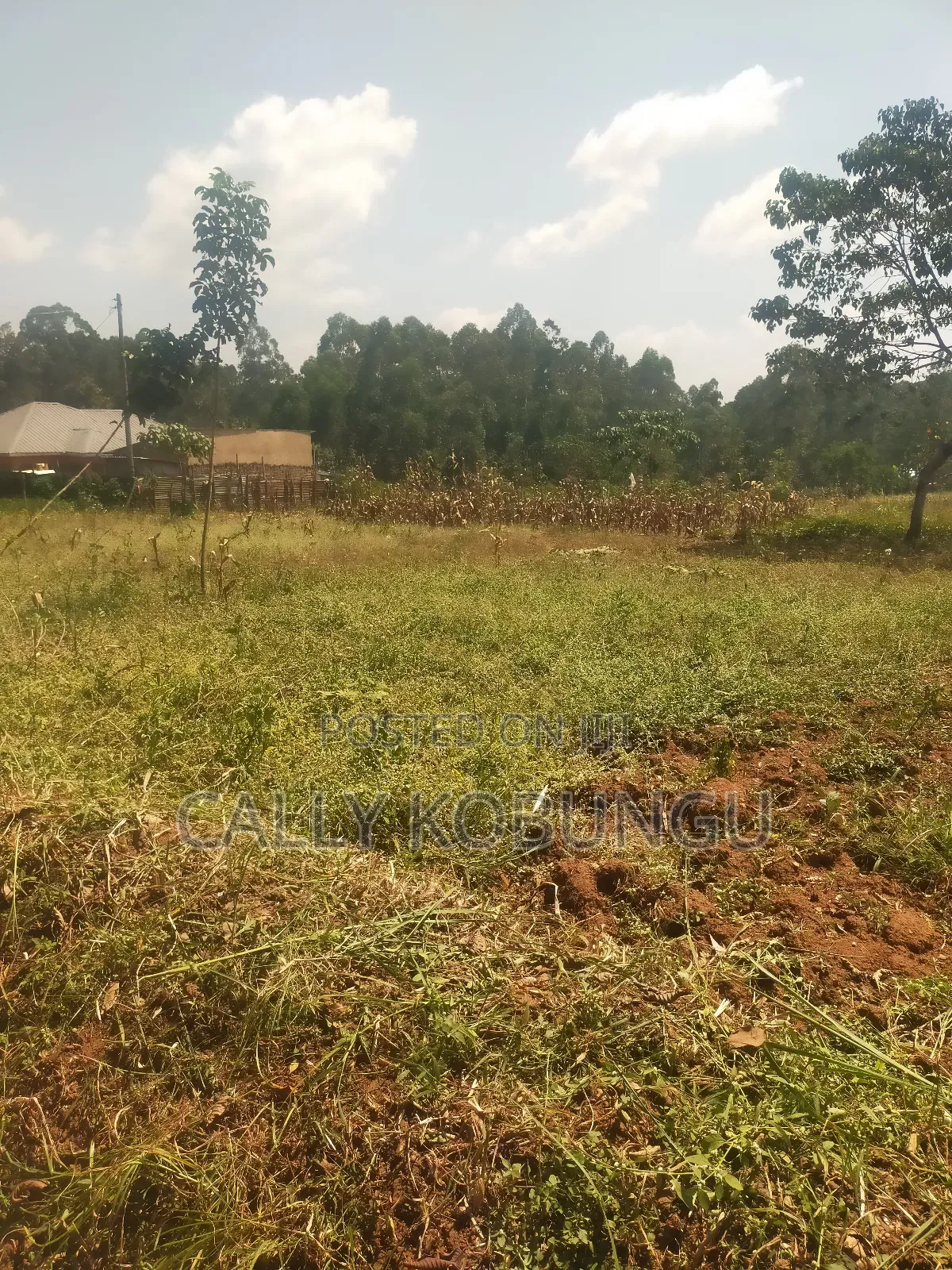 2.5 Acres in Kakamega, Shirere