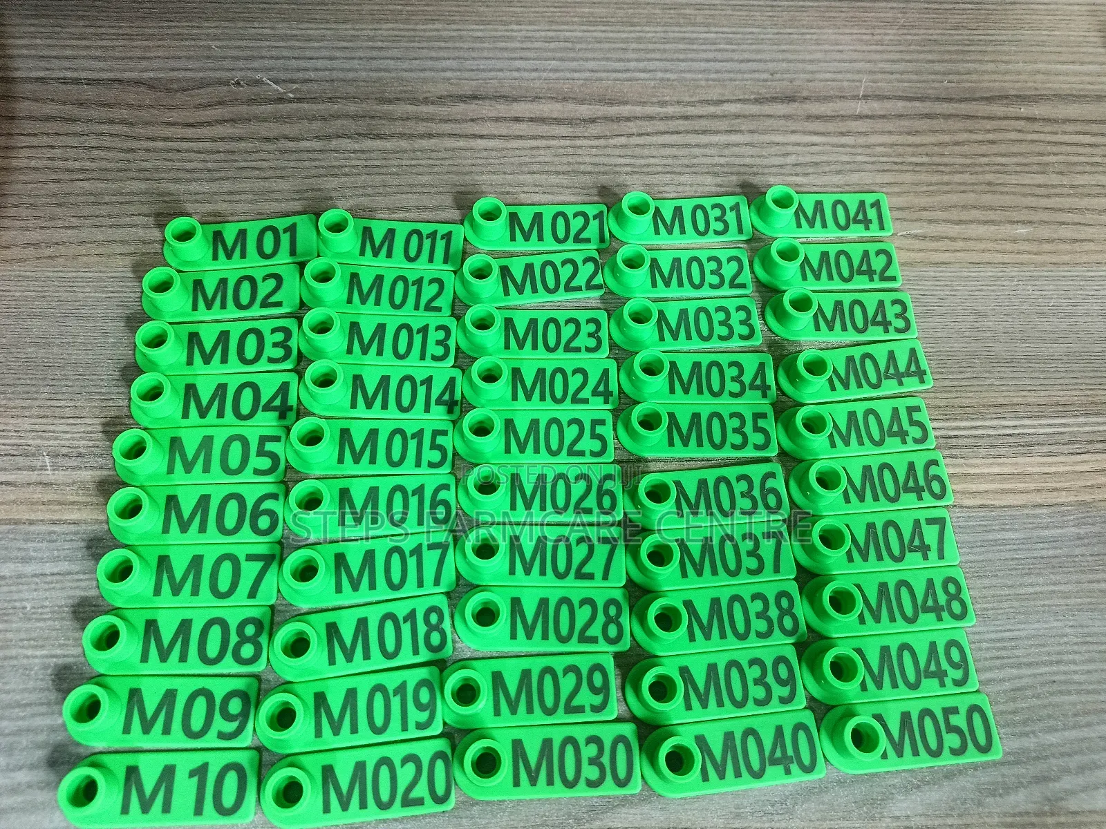 Rectangular Goats Branded Ear Tags