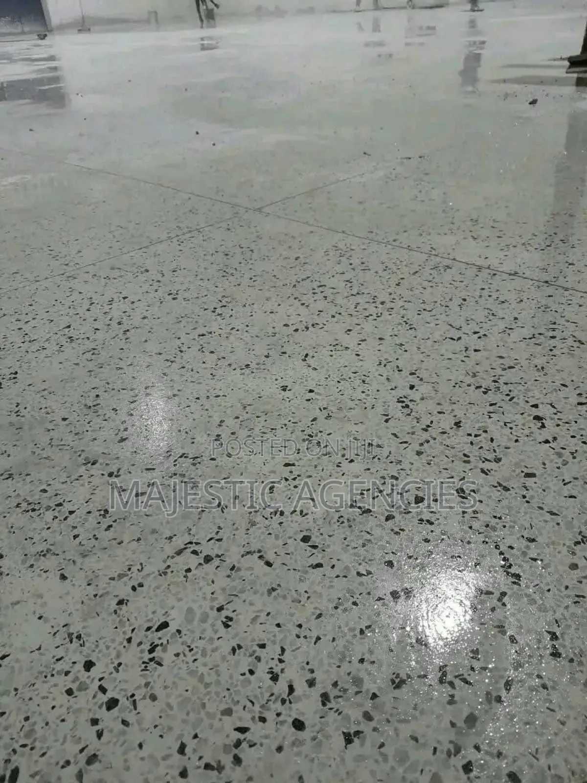 White Cement Terazzo Services