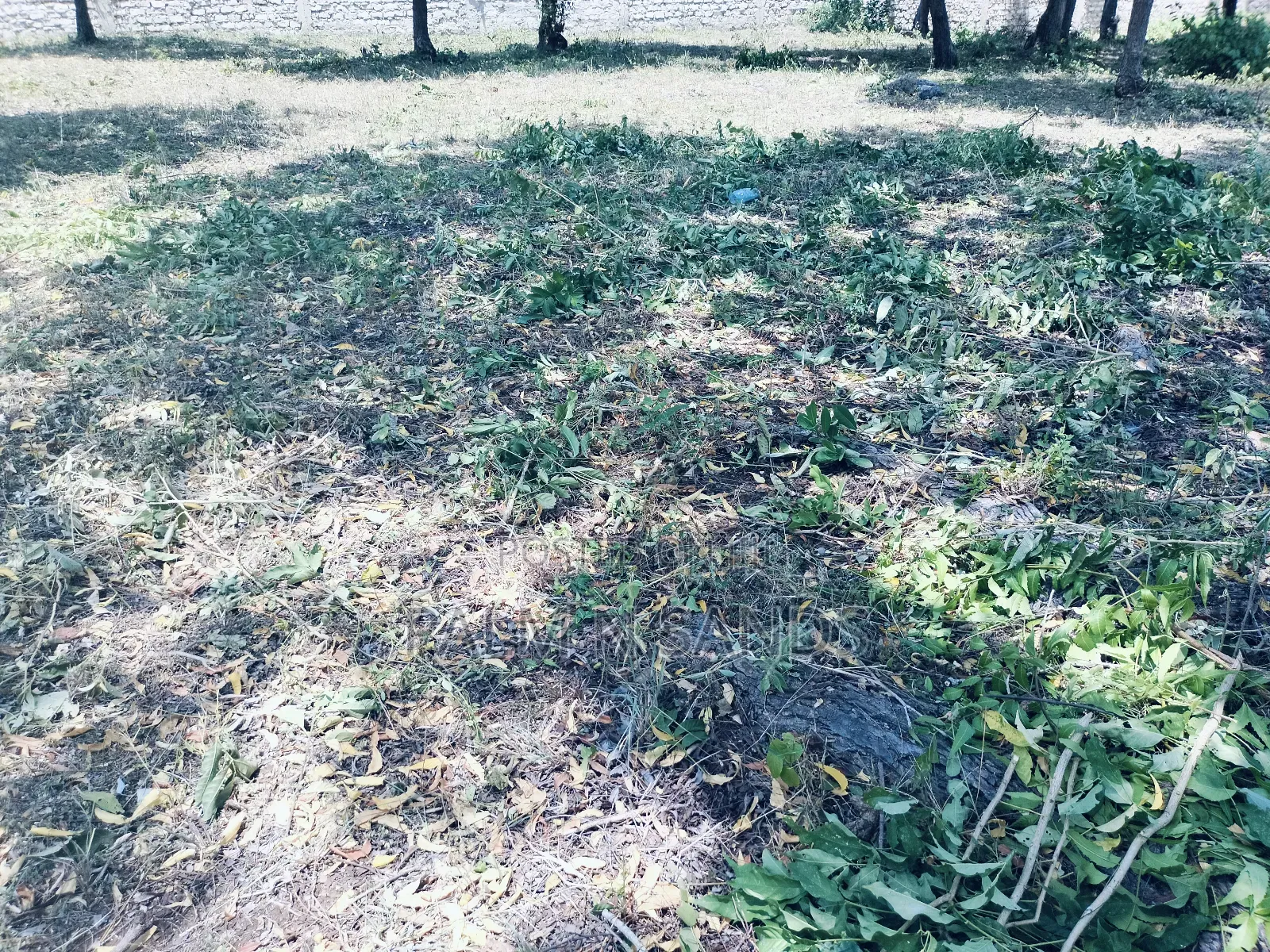 One Acre Third Row Prime Land in Baobab Hotel Area!!