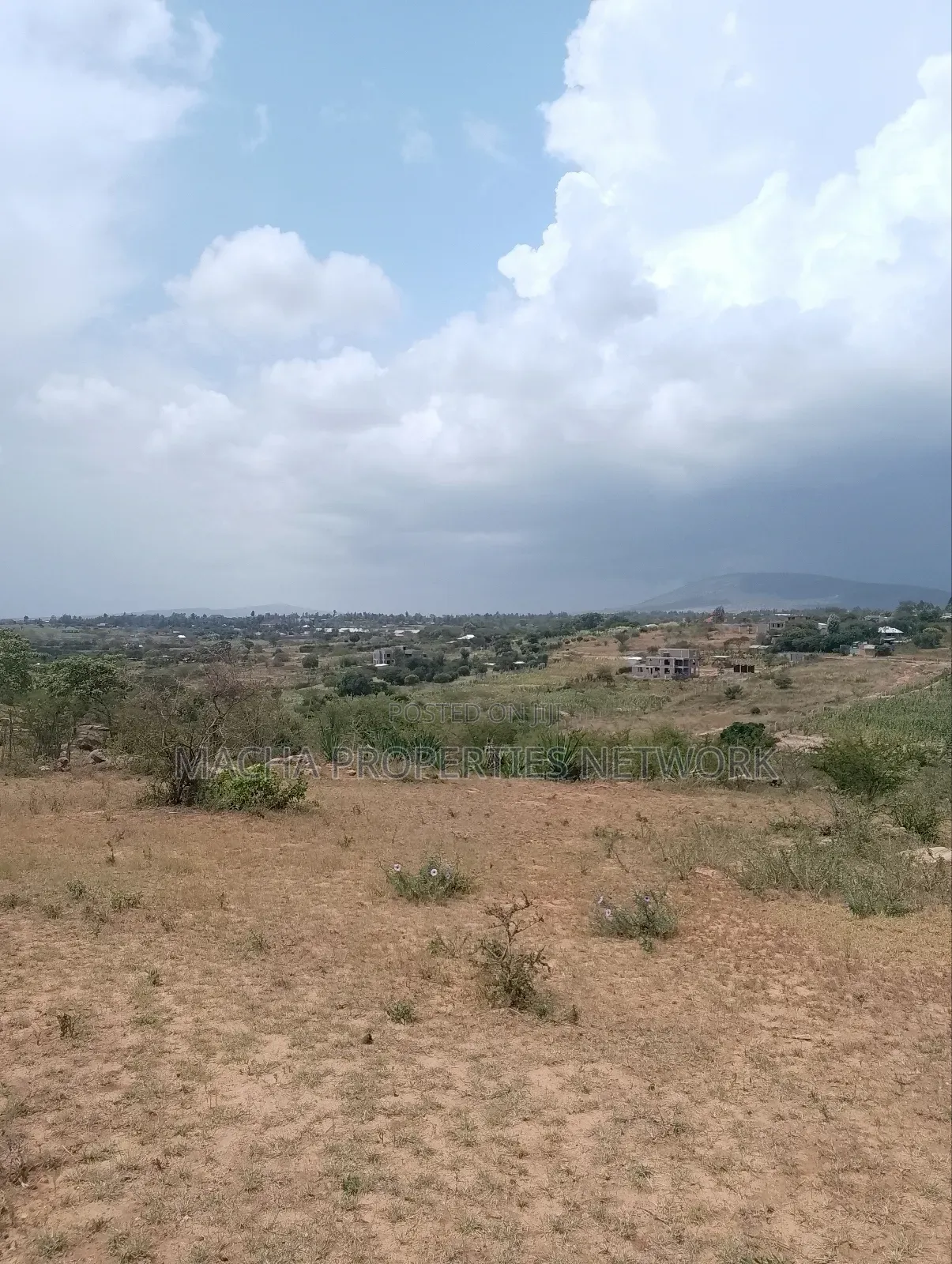 Machakos 50 by 100ft Quick Sale