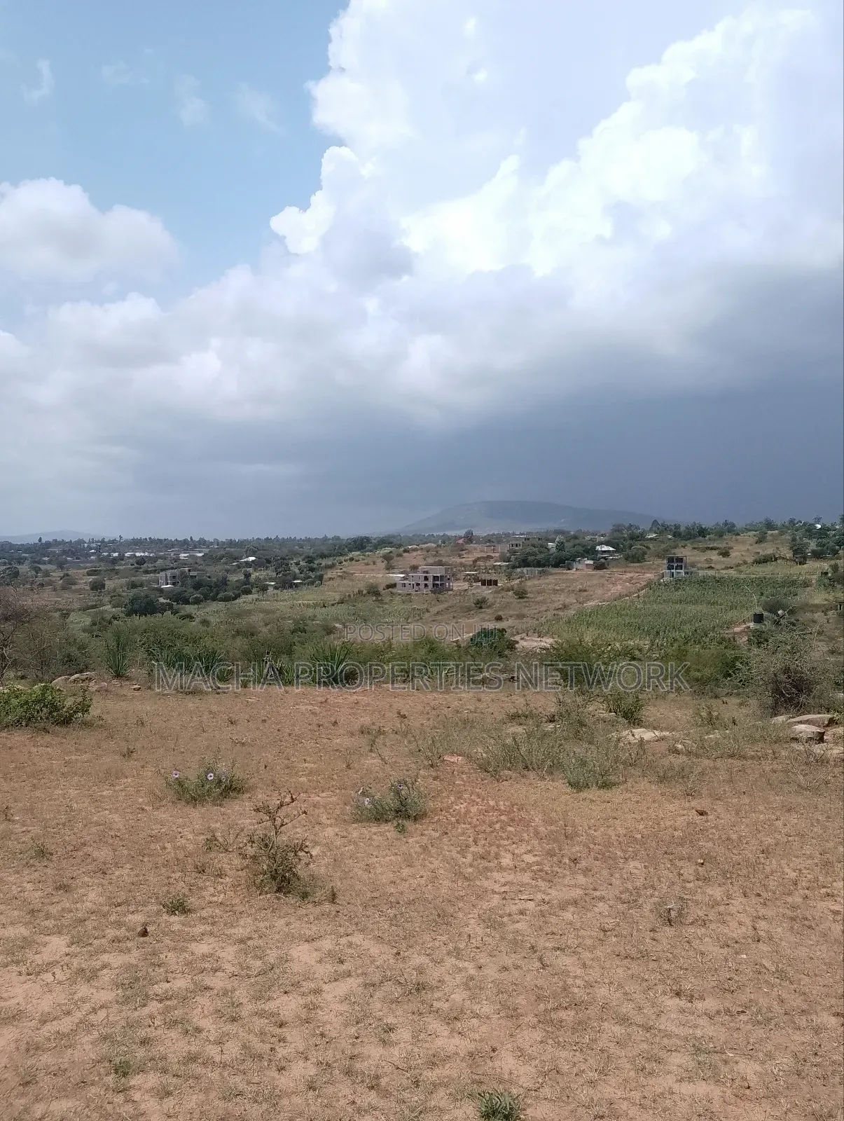 Machakos 50 by 100ft Quick Sale