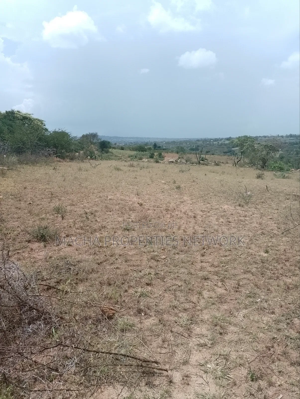 Machakos 50 by 100ft Quick Sale
