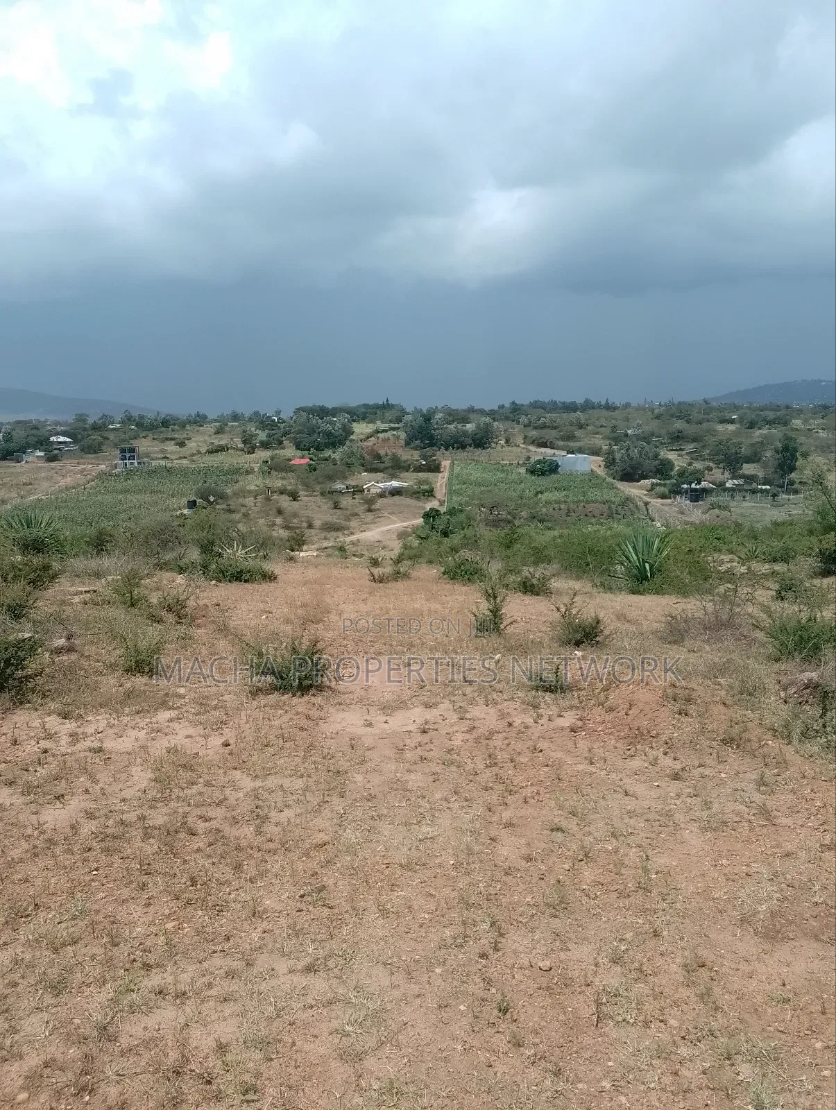 Machakos 50 by 100ft Quick Sale