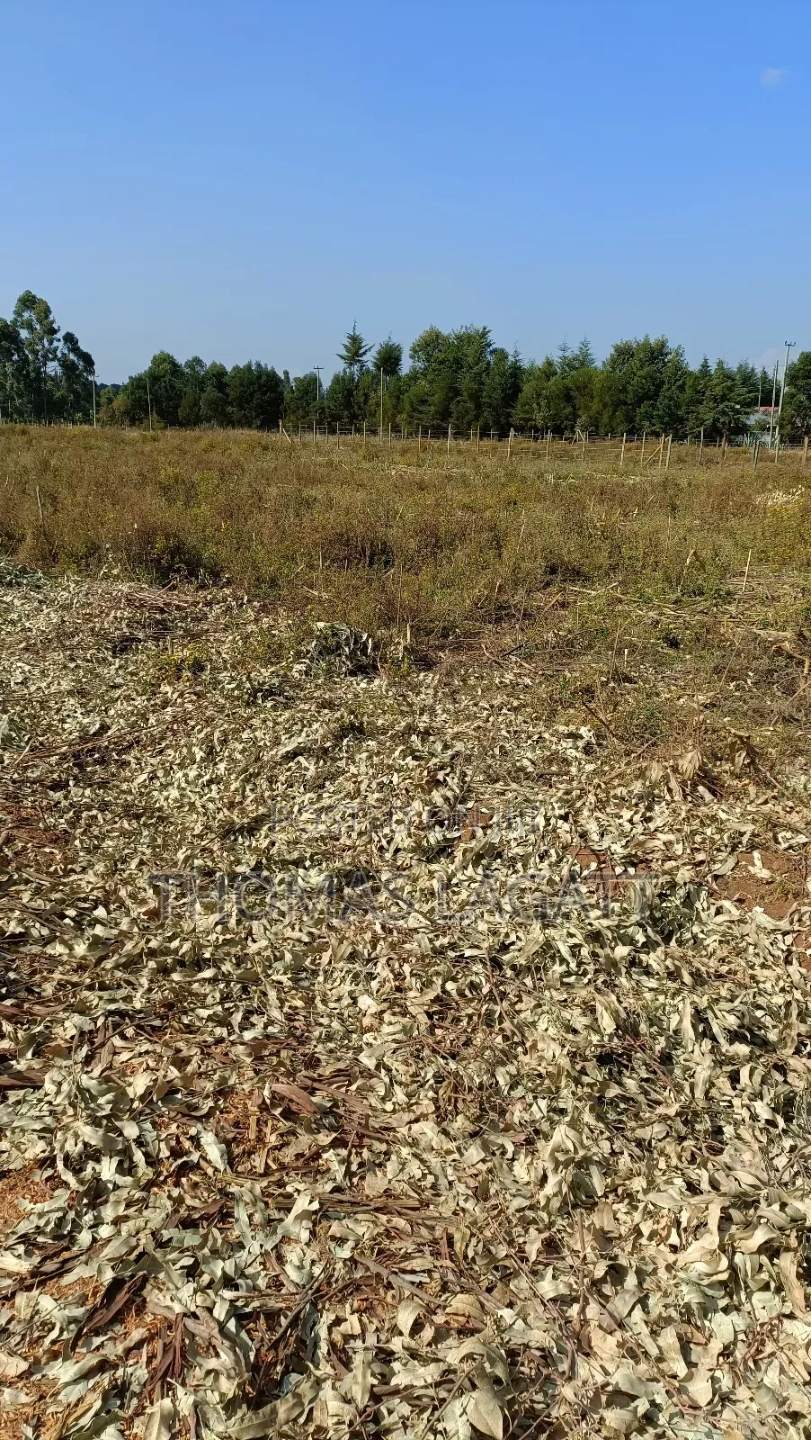 Eldoret Sogomo Residential Plots on Sale