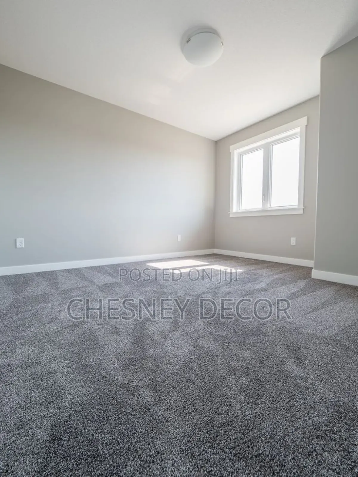 Greyyy Carpet