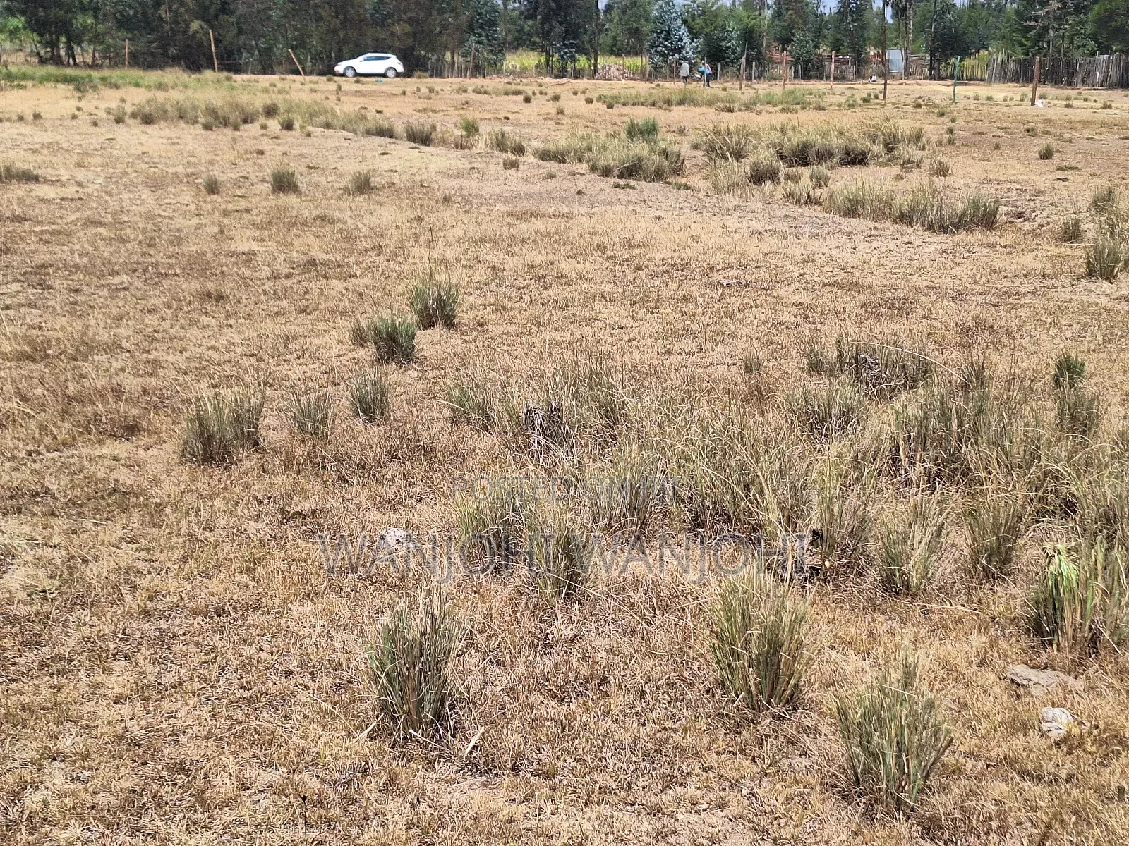 Very Prime Plots in Leshau Nyandarua County