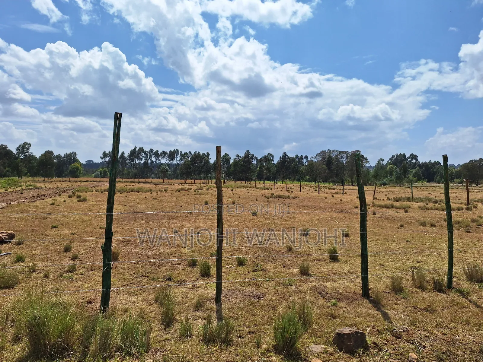 Land for Sale