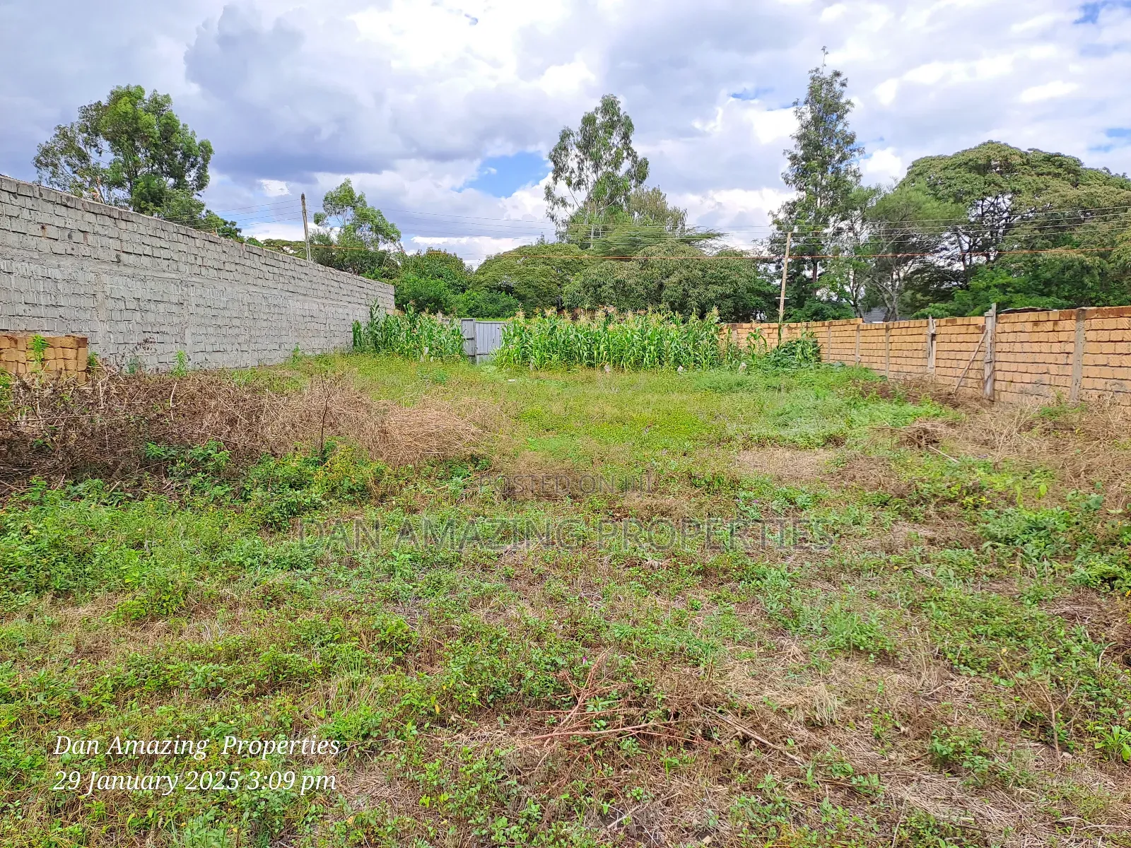 Bigger 1/4 Acre Fenced With Perimeter Wall for Sale in Rimpa