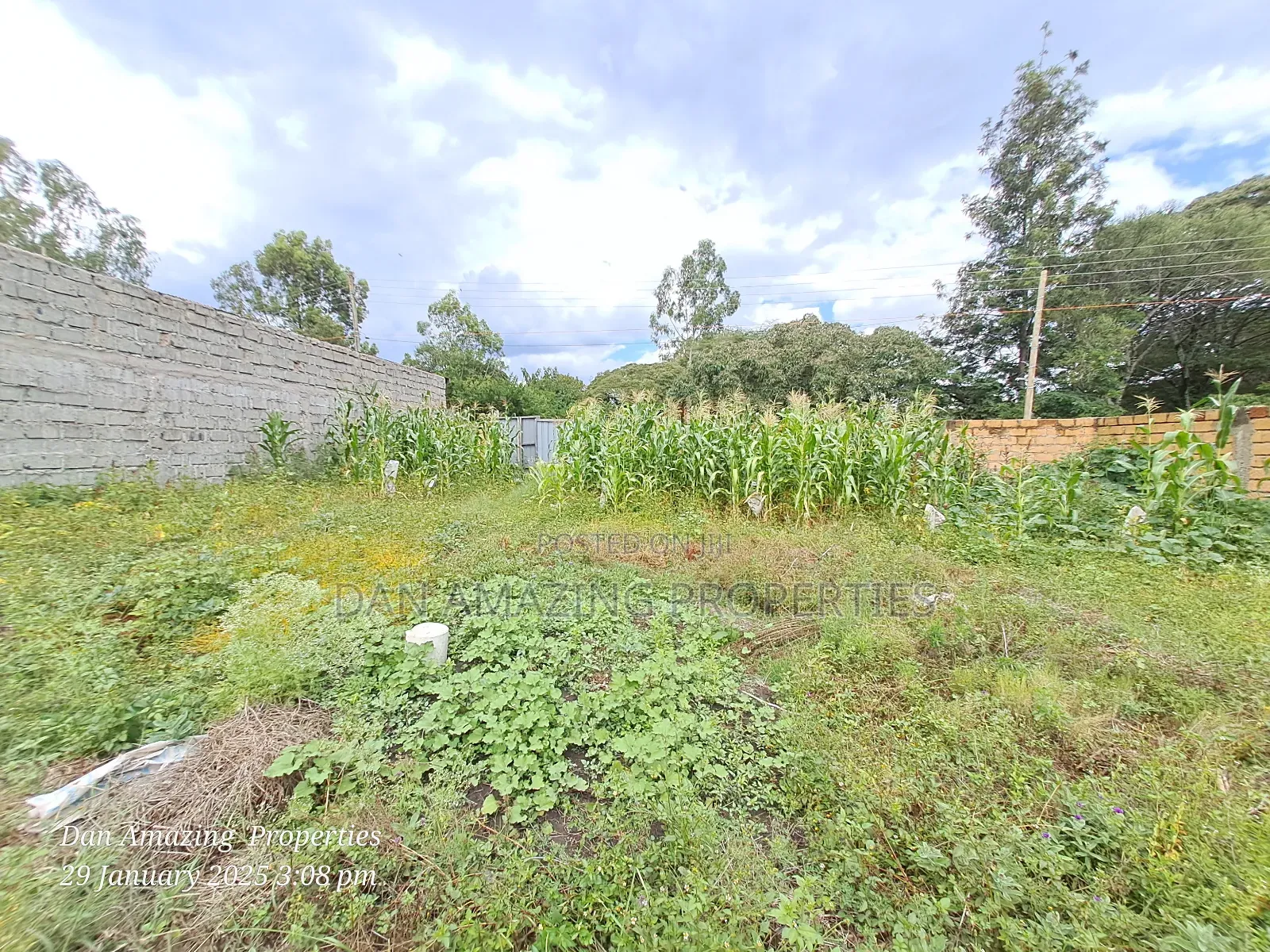 Bigger 1/4 Acre Fenced With Perimeter Wall for Sale in Rimpa